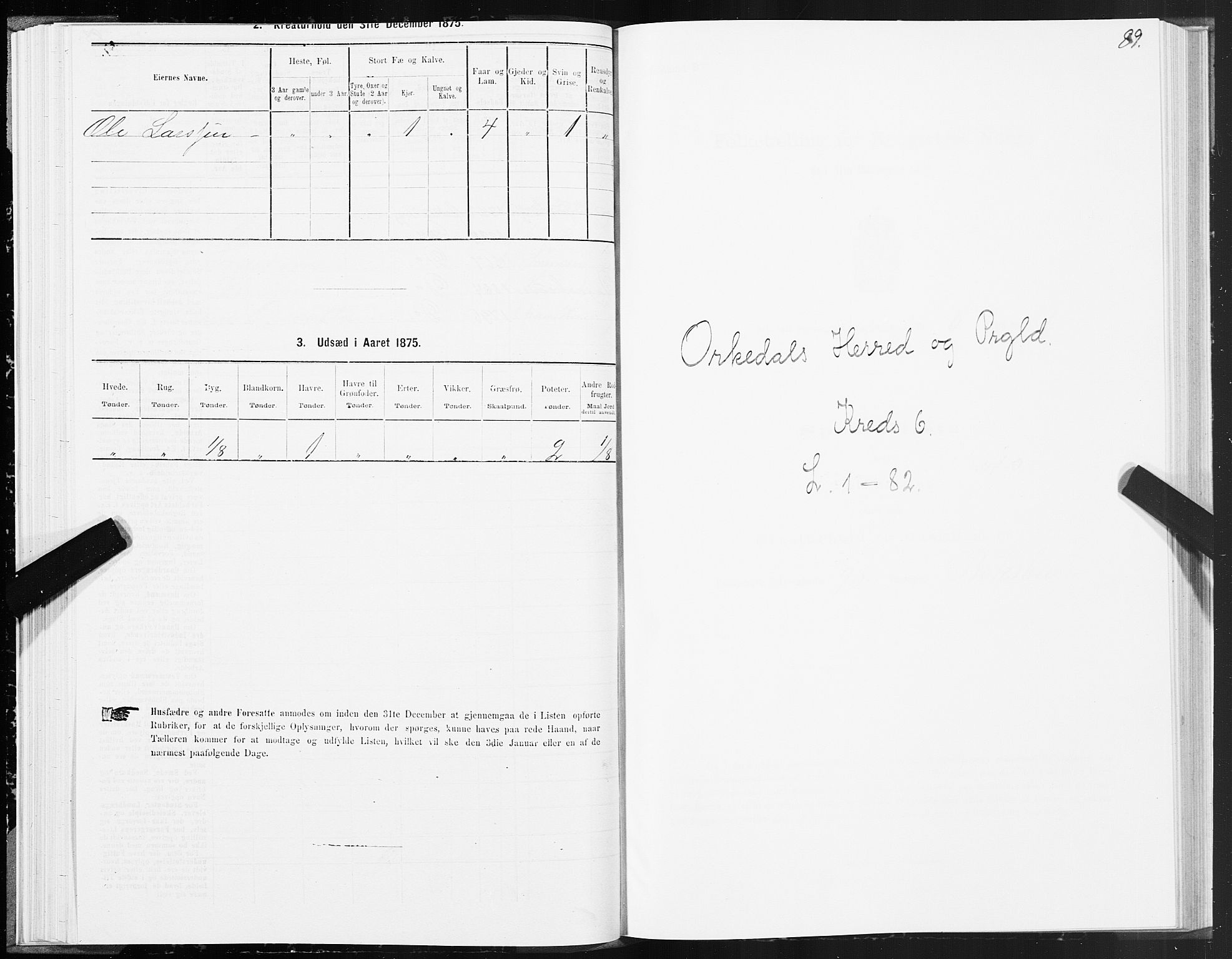 SAT, 1875 census for 1638P Orkdal, 1875, p. 3089