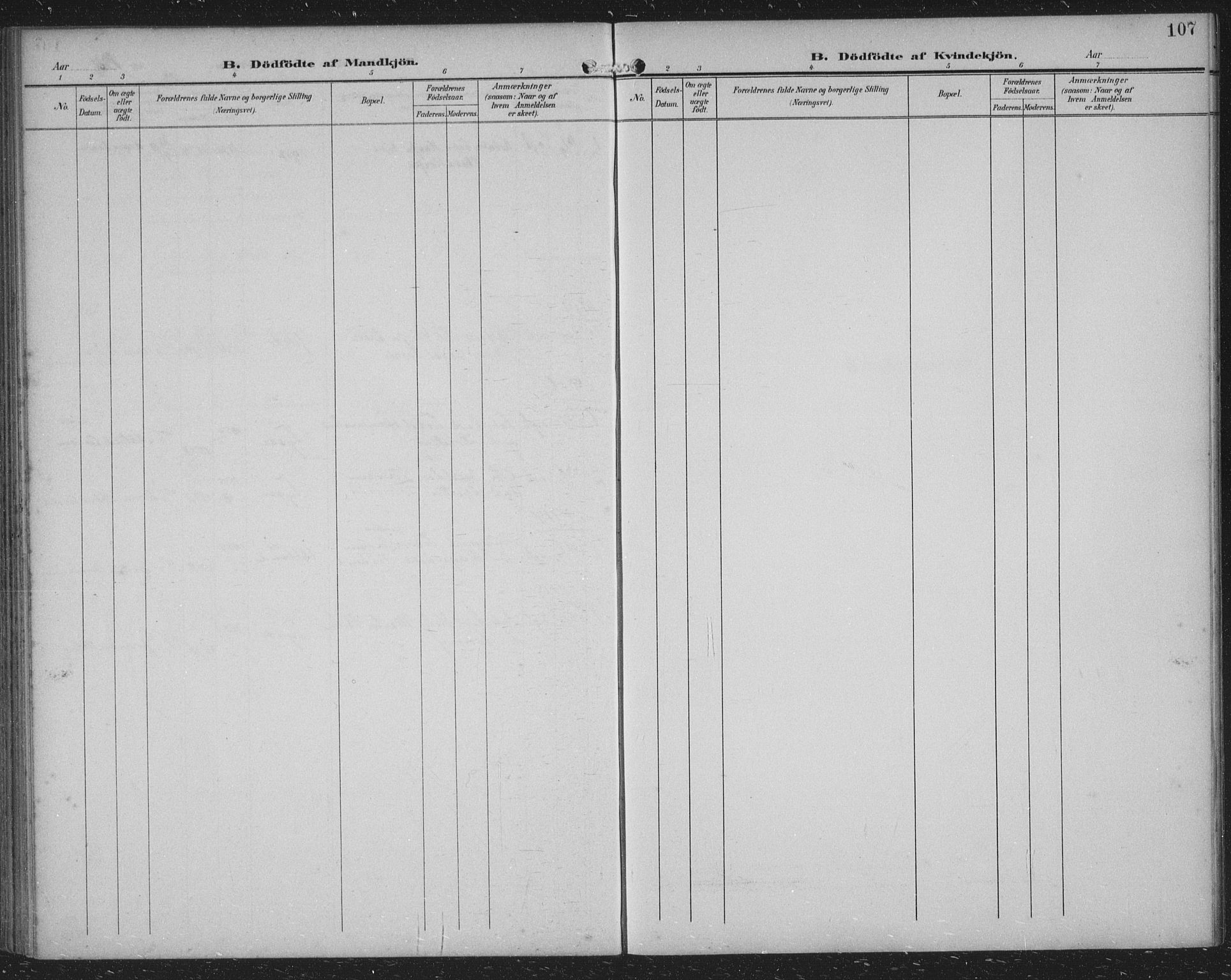 Samnanger Sokneprestembete, AV/SAB-A-77501/H/Haa: Parish register (official) no. A 2, 1902-1918, p. 107