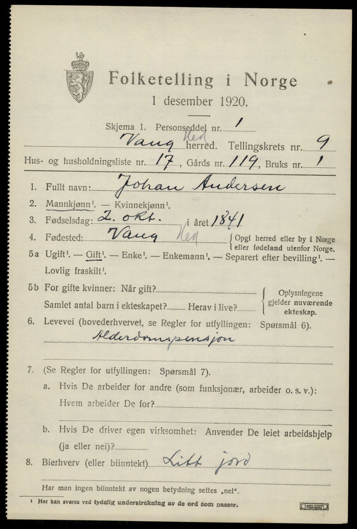 SAH, 1920 census for Vang (Hedmark), 1920, p. 18307