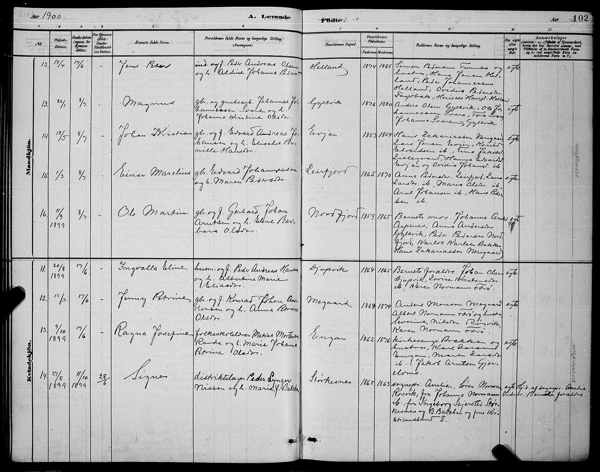 Ministerialprotokoller, klokkerbøker og fødselsregistre - Nordland, AV/SAT-A-1459/853/L0772: Parish register (official) no. 853A11, 1881-1900, p. 102
