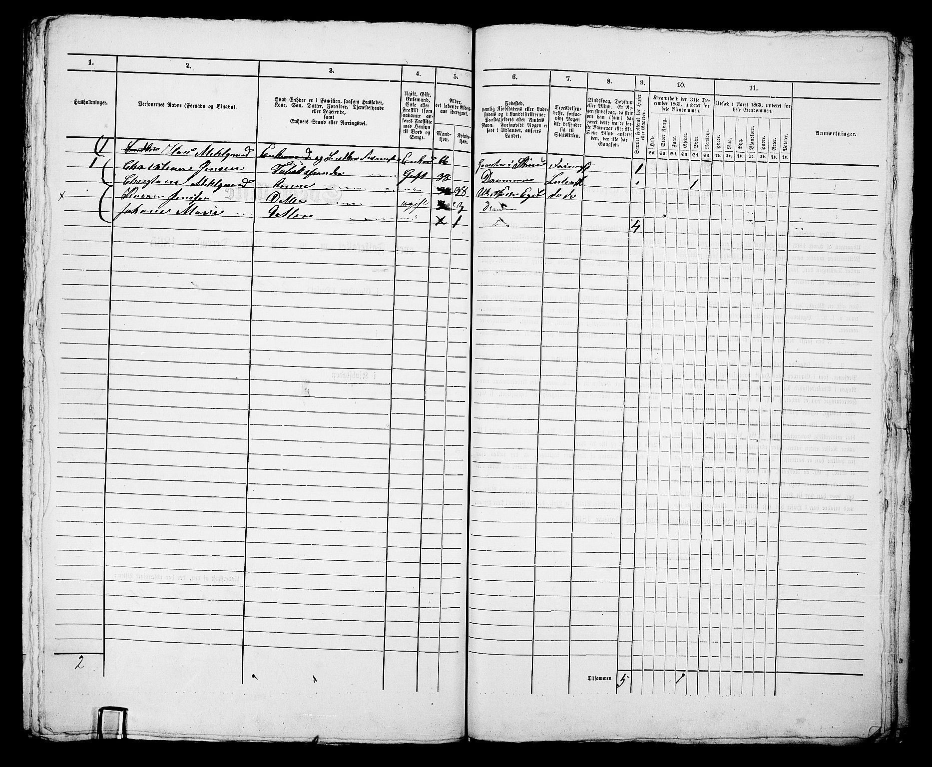 RA, 1865 census for Bragernes in Drammen, 1865, p. 1216