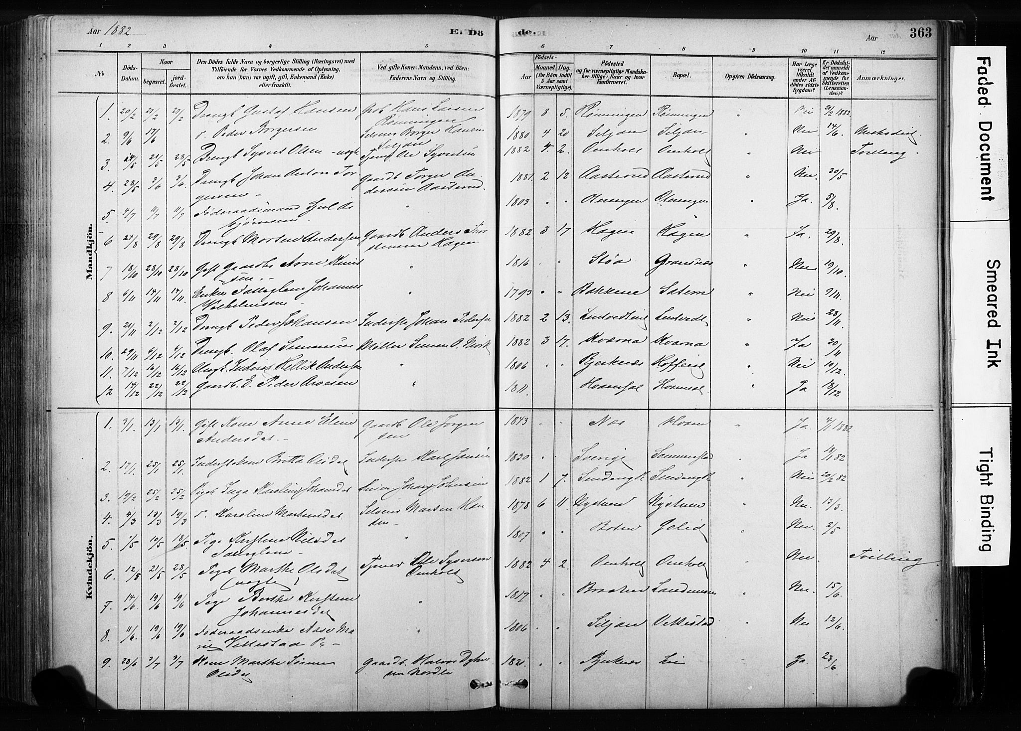 Sandsvær kirkebøker, SAKO/A-244/F/Fb/L0001: Parish register (official) no. II 1, 1878-1906, p. 363