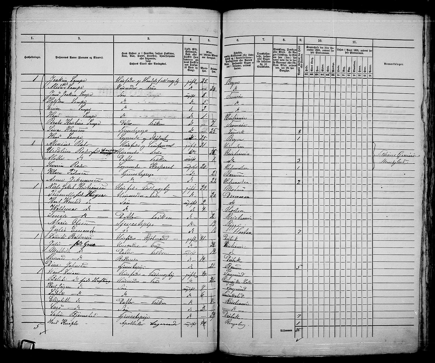 RA, 1865 census for Kristiania, 1865, p. 5295