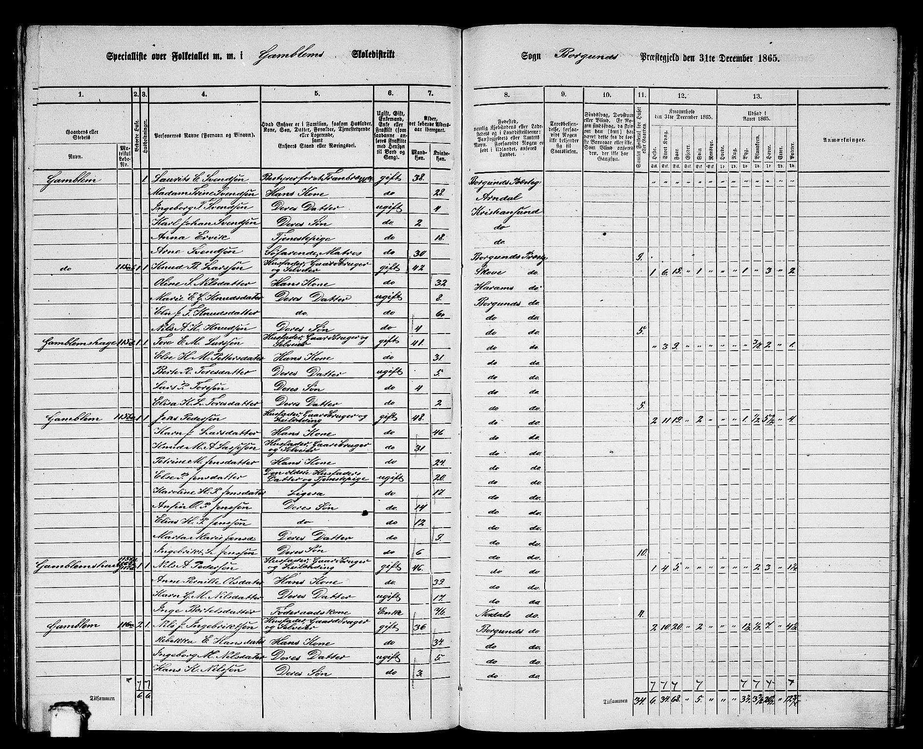 RA, 1865 census for Borgund, 1865, p. 234