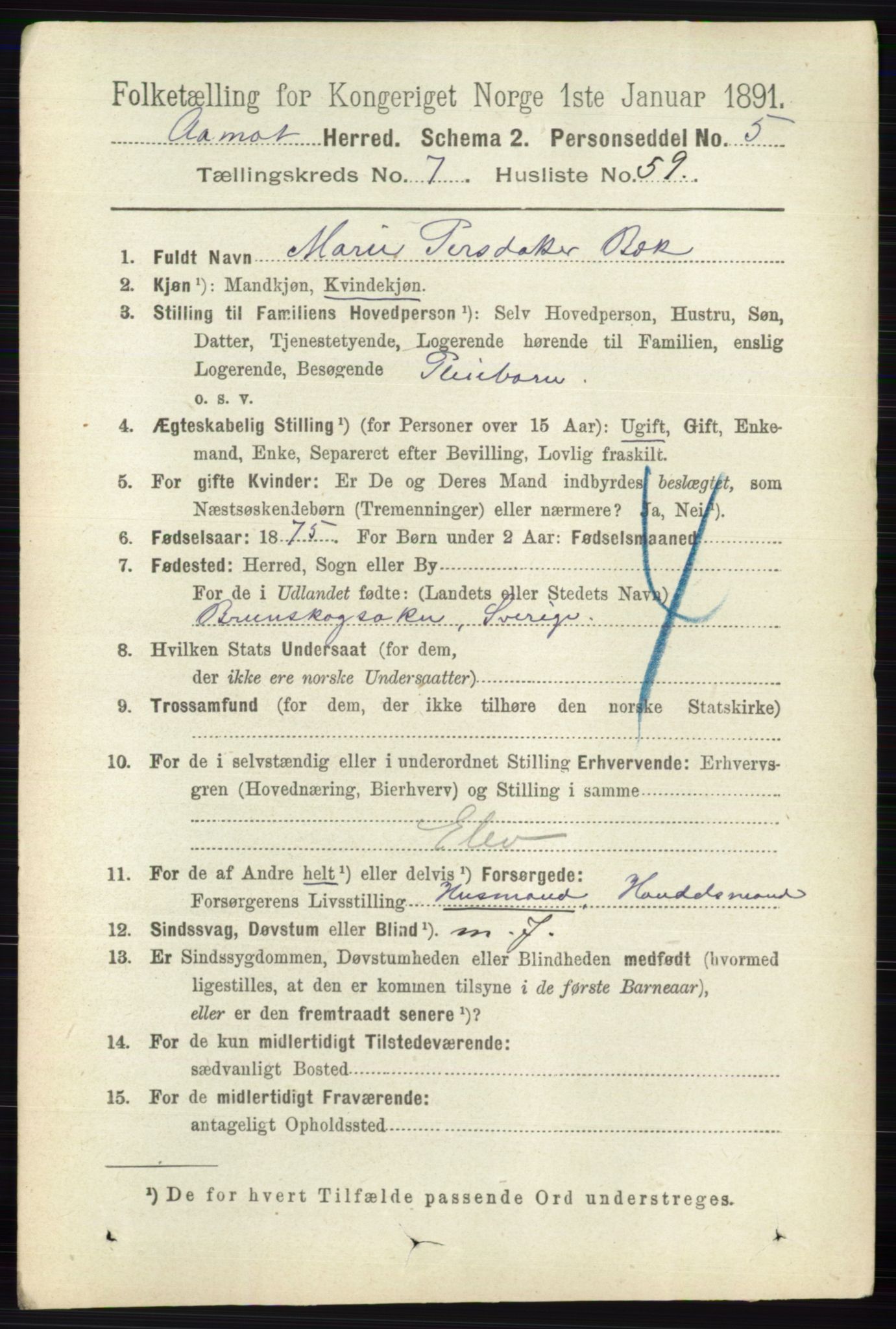 RA, 1891 census for 0429 Åmot, 1891, p. 3296