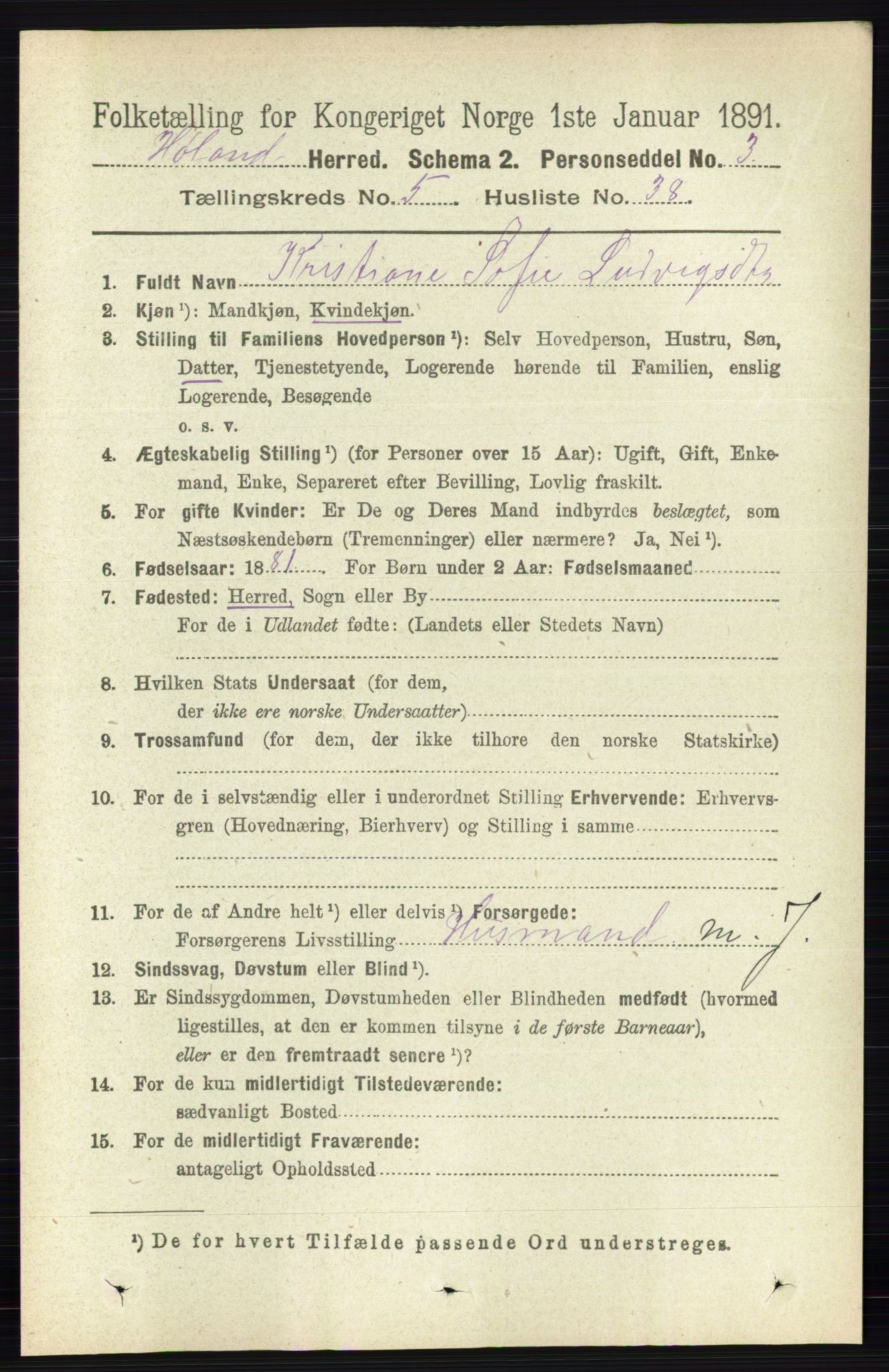 RA, 1891 census for 0221 Høland, 1891, p. 3714