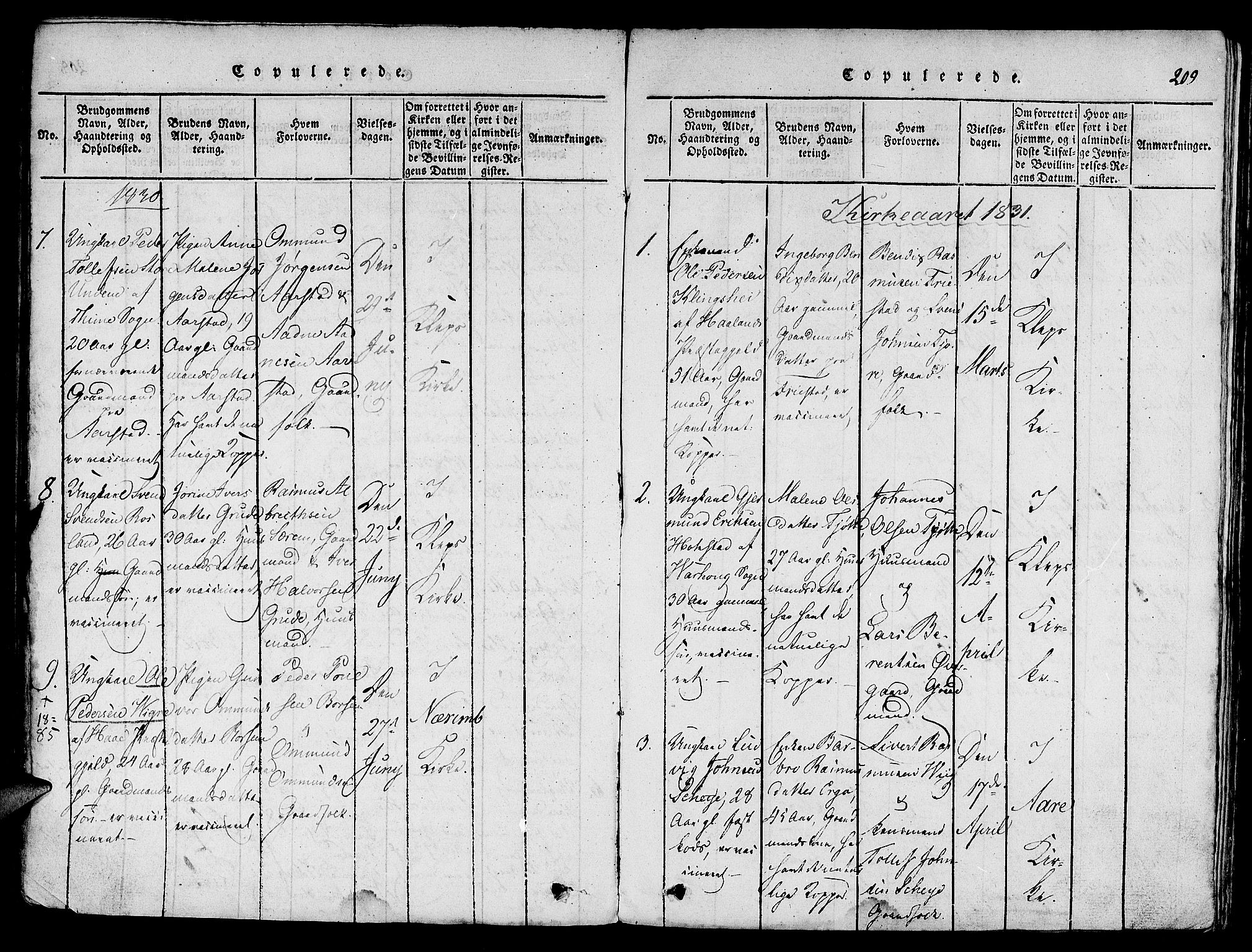 Klepp sokneprestkontor, SAST/A-101803/001/3/30BA/L0002: Parish register (official) no. A 2, 1816-1833, p. 209