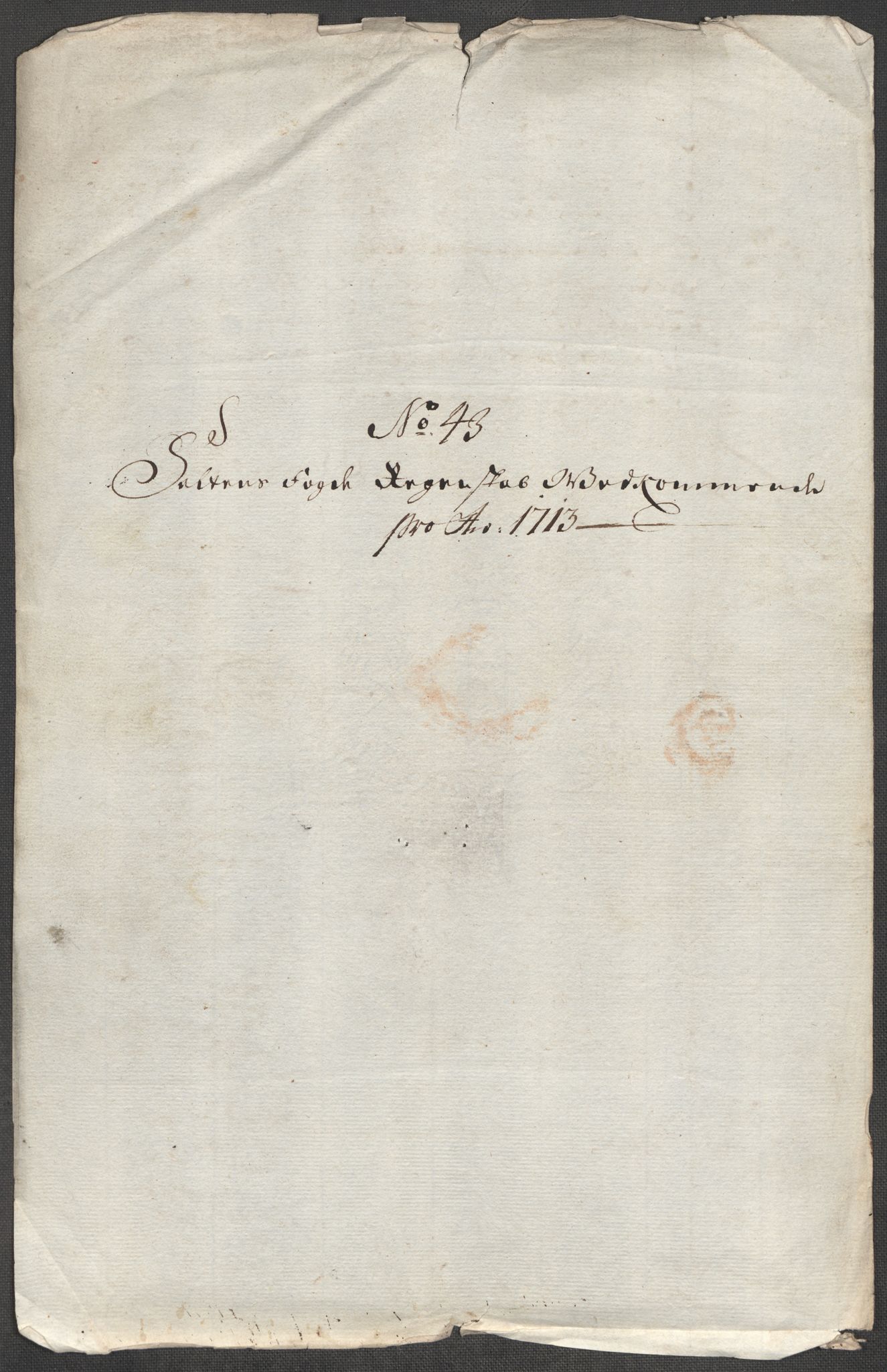 Rentekammeret inntil 1814, Reviderte regnskaper, Fogderegnskap, AV/RA-EA-4092/R66/L4583: Fogderegnskap Salten, 1713, p. 215