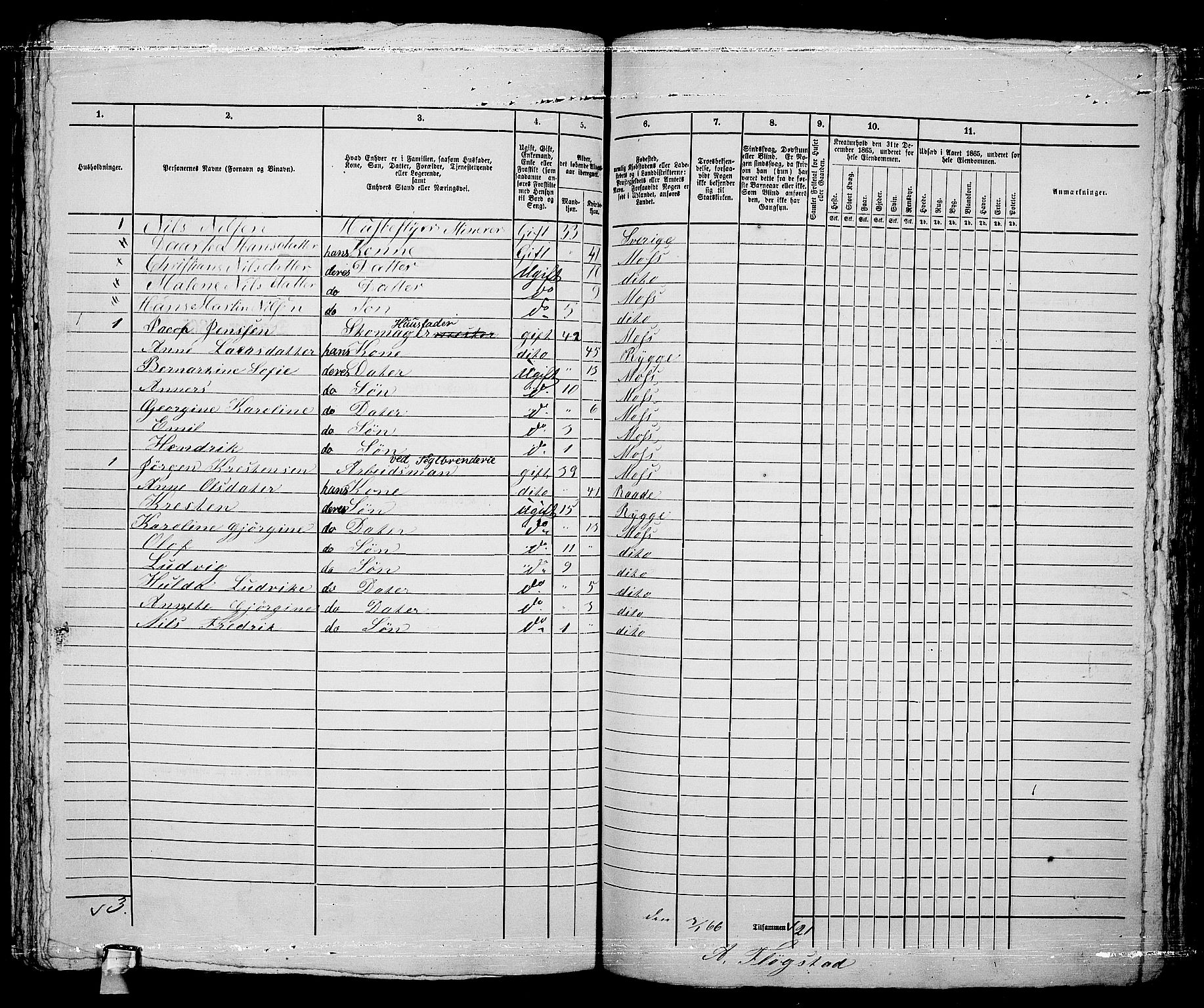 RA, 1865 census for Moss/Moss, 1865, p. 623