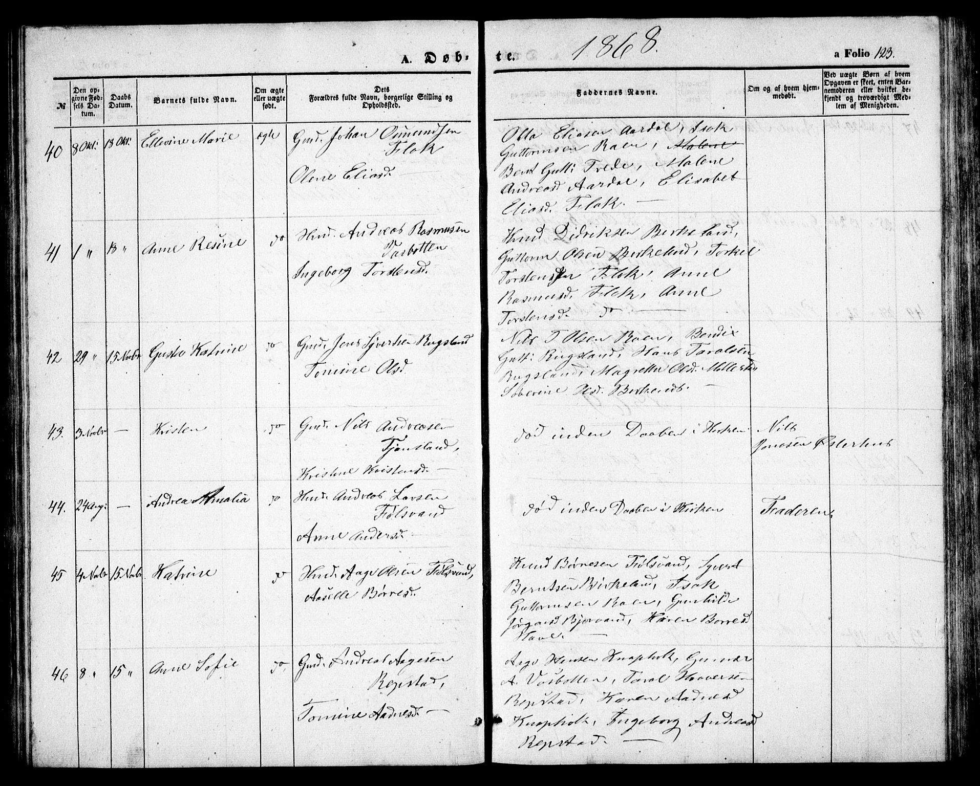 Birkenes sokneprestkontor, AV/SAK-1111-0004/F/Fb/L0002: Parish register (copy) no. B 2, 1849-1876, p. 123