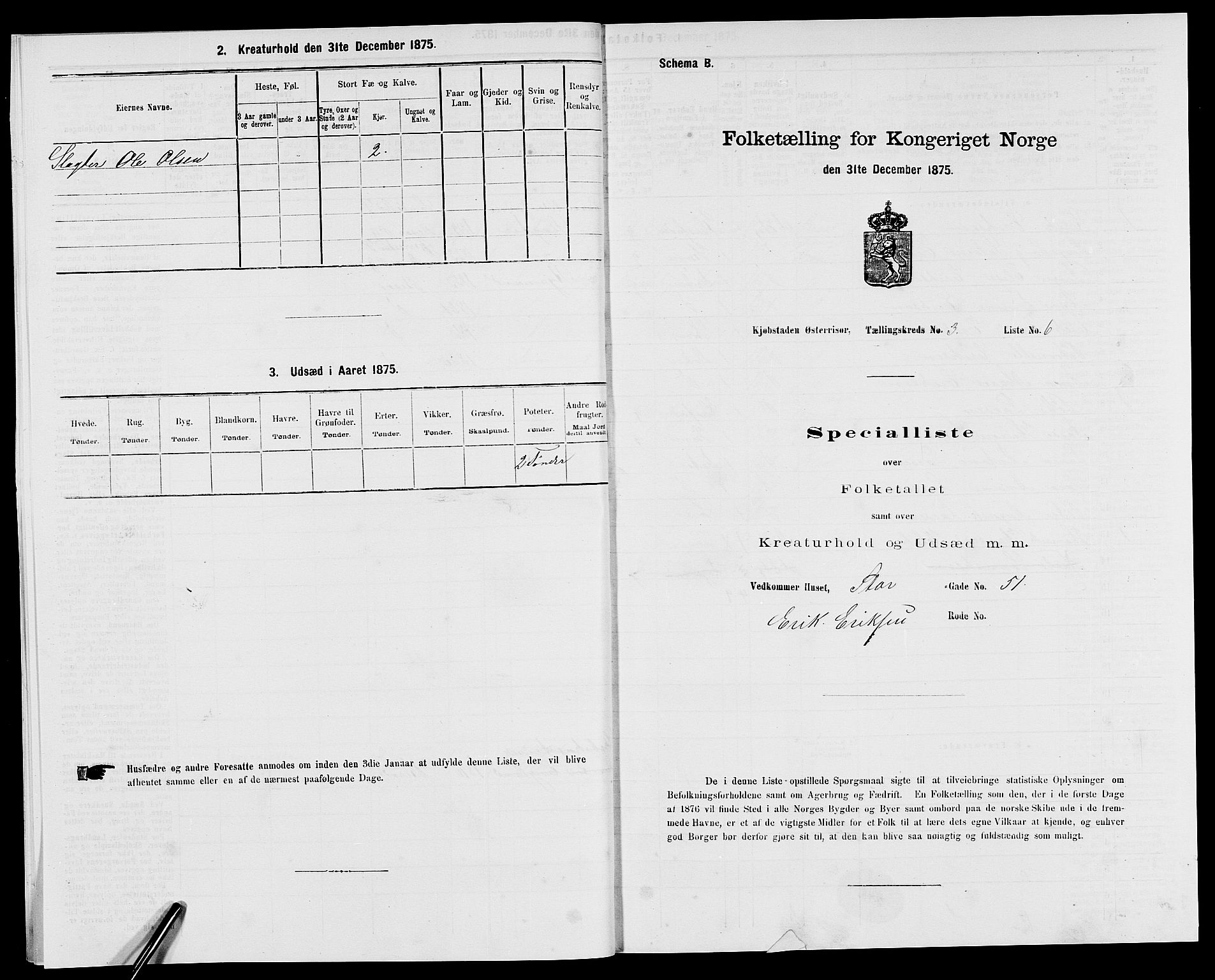 SAK, 1875 census for 0901B Risør/Risør, 1875, p. 325