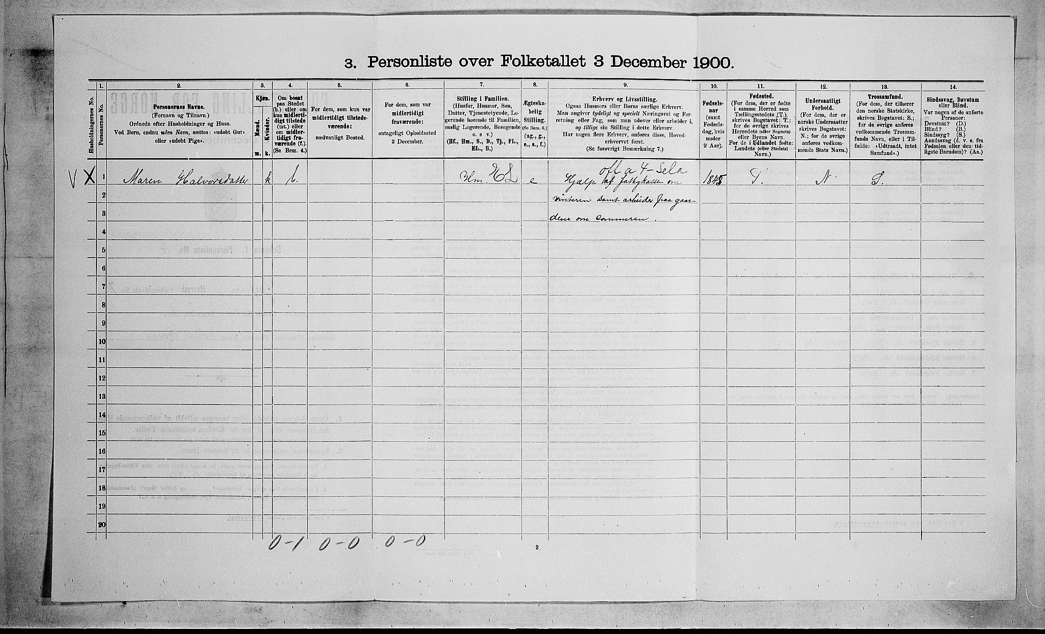 SAKO, 1900 census for Gjerpen, 1900, p. 1349