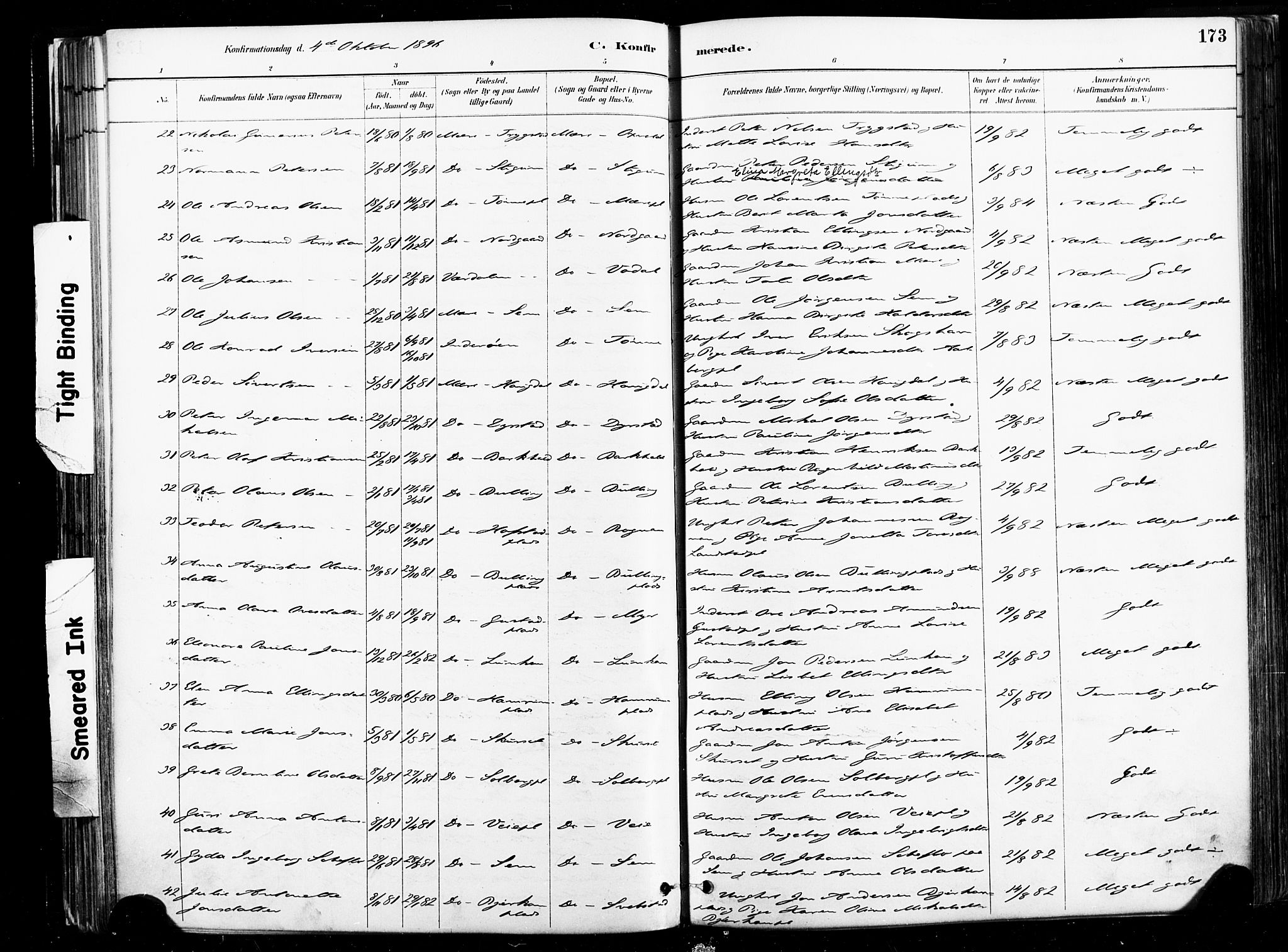 Ministerialprotokoller, klokkerbøker og fødselsregistre - Nord-Trøndelag, AV/SAT-A-1458/735/L0351: Parish register (official) no. 735A10, 1884-1908, p. 173