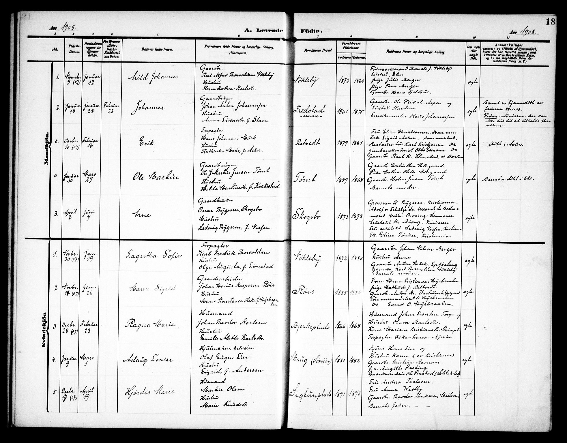 Kråkstad prestekontor Kirkebøker, AV/SAO-A-10125a/G/Ga/L0002: Parish register (copy) no. I 2, 1905-1934, p. 18