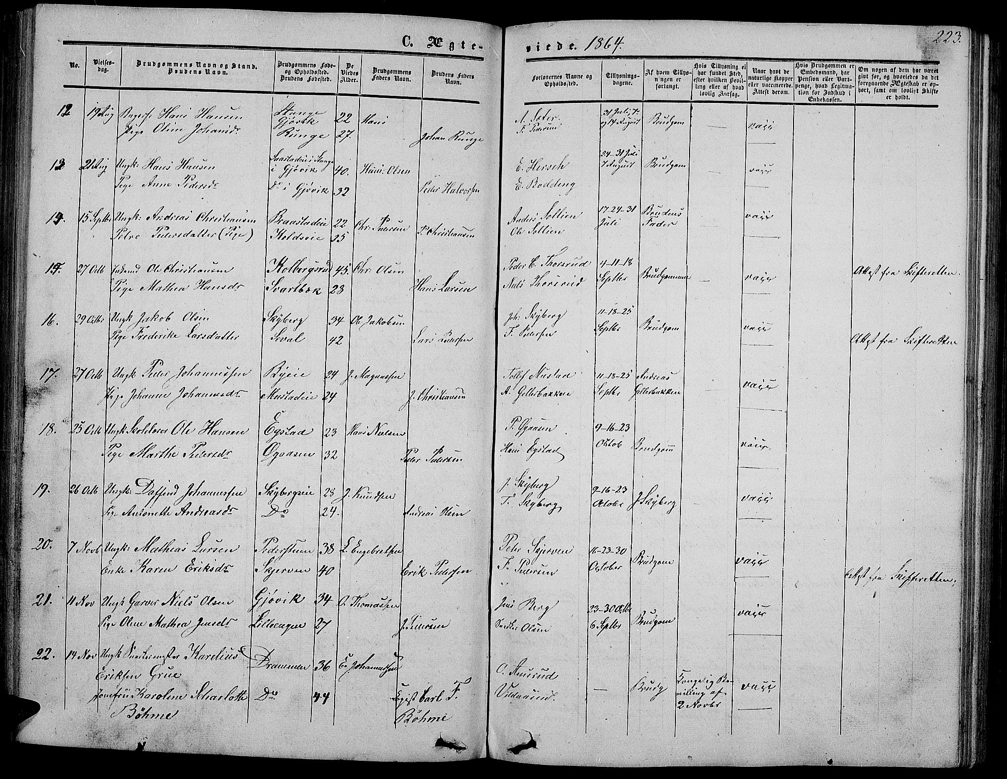 Vardal prestekontor, SAH/PREST-100/H/Ha/Hab/L0005: Parish register (copy) no. 5, 1854-1868, p. 223