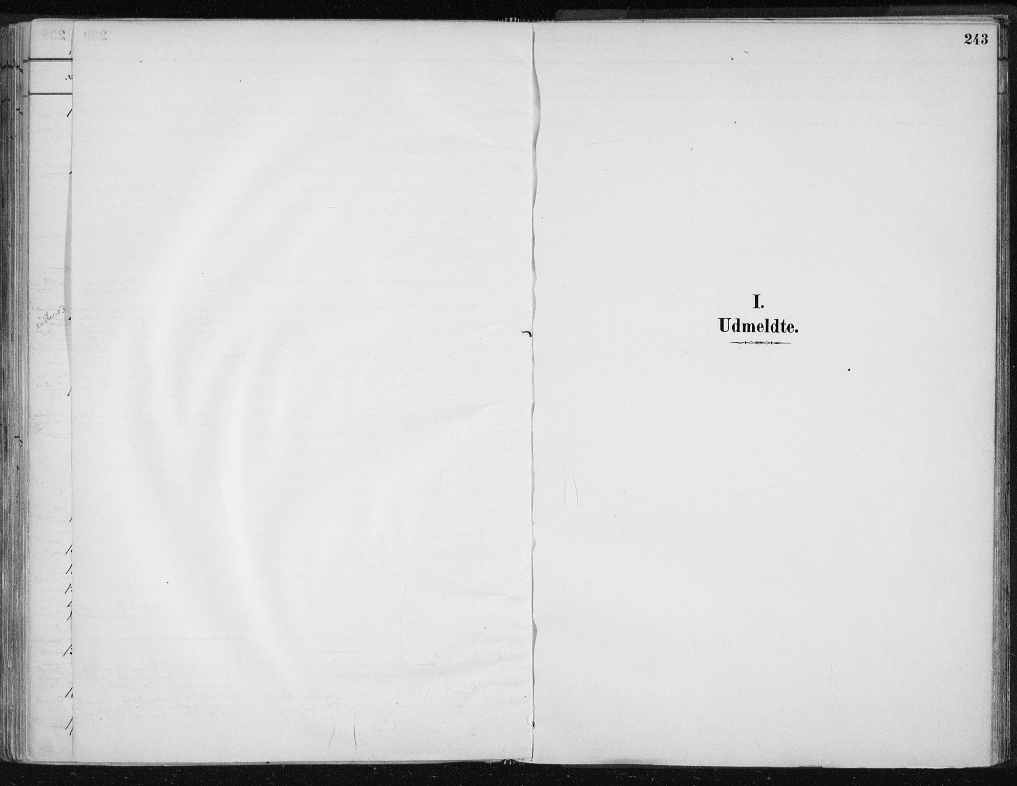 Ministerialprotokoller, klokkerbøker og fødselsregistre - Nord-Trøndelag, AV/SAT-A-1458/701/L0010: Parish register (official) no. 701A10, 1883-1899, p. 243