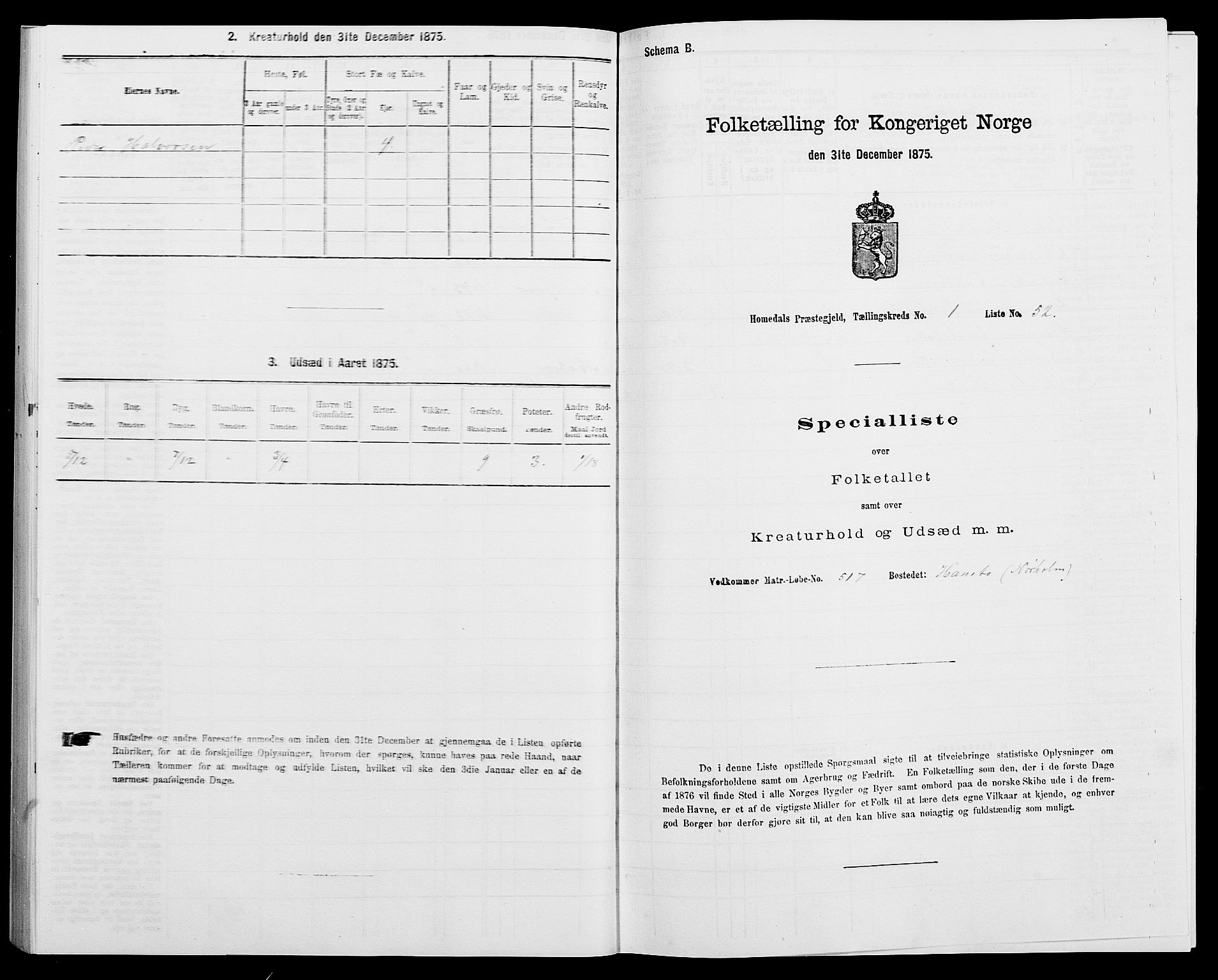 SAK, 1875 census for 0924P Homedal, 1875, p. 122