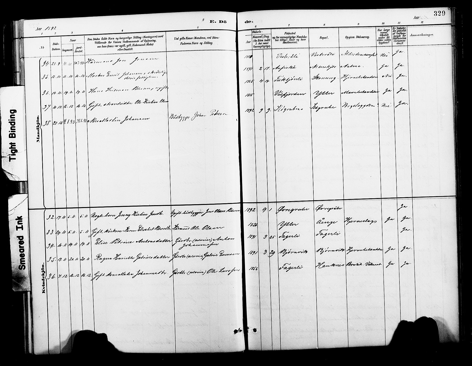 Ministerialprotokoller, klokkerbøker og fødselsregistre - Nordland, AV/SAT-A-1459/827/L0421: Parish register (copy) no. 827C10, 1887-1906, p. 329