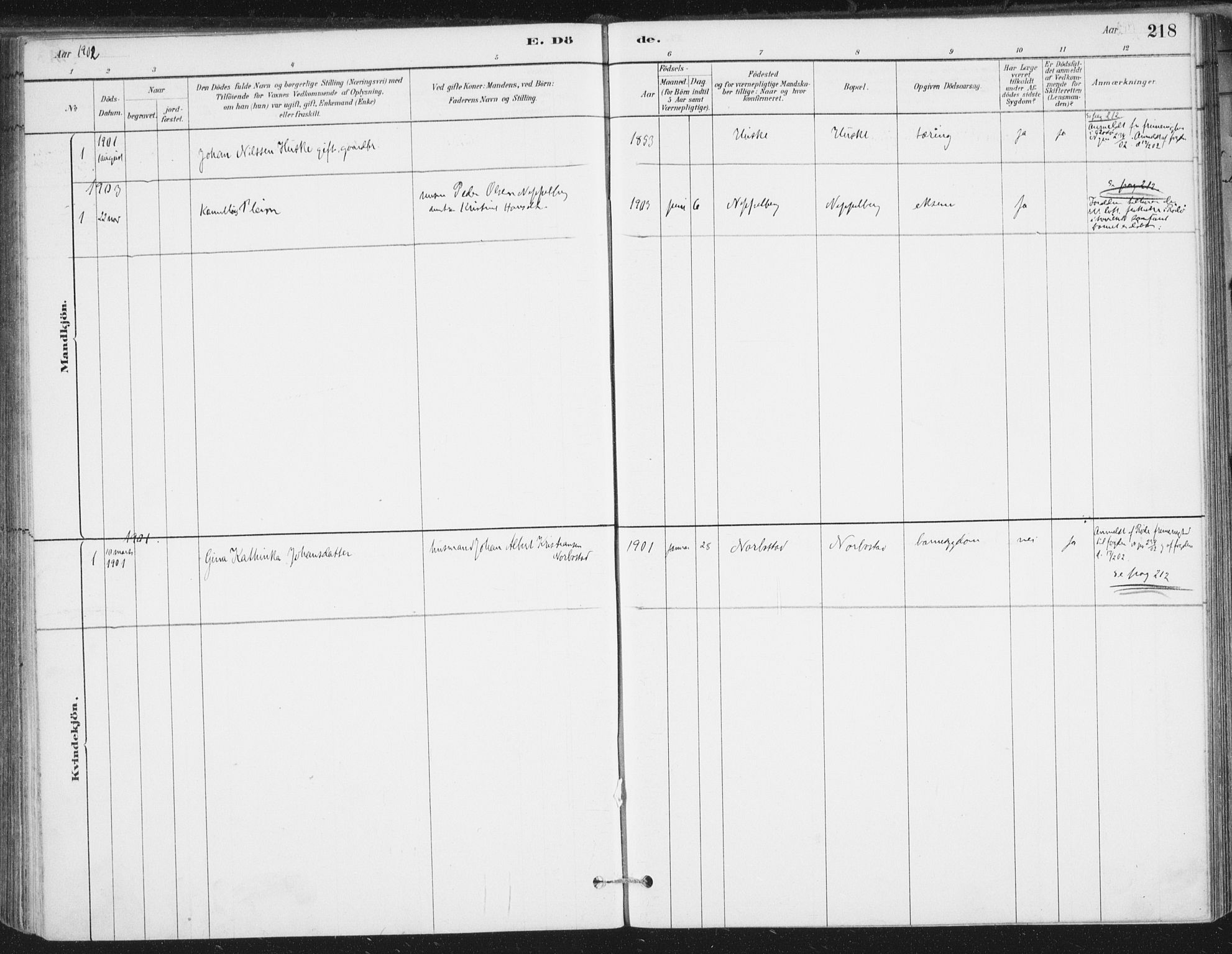 Ministerialprotokoller, klokkerbøker og fødselsregistre - Nordland, AV/SAT-A-1459/838/L0553: Parish register (official) no. 838A11, 1880-1910, p. 218