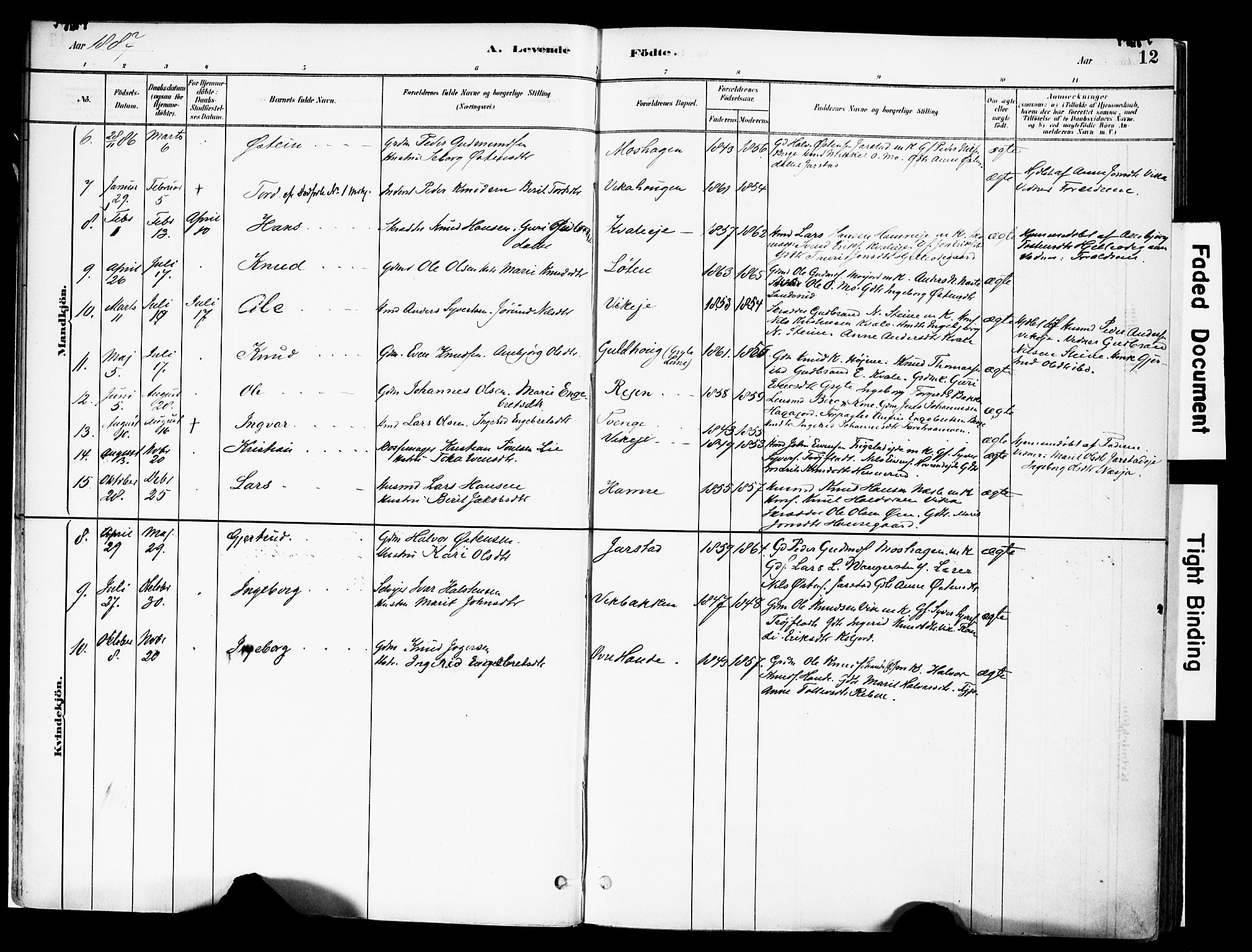 Vestre Slidre prestekontor, SAH/PREST-136/H/Ha/Haa/L0004: Parish register (official) no. 4, 1881-1911, p. 12