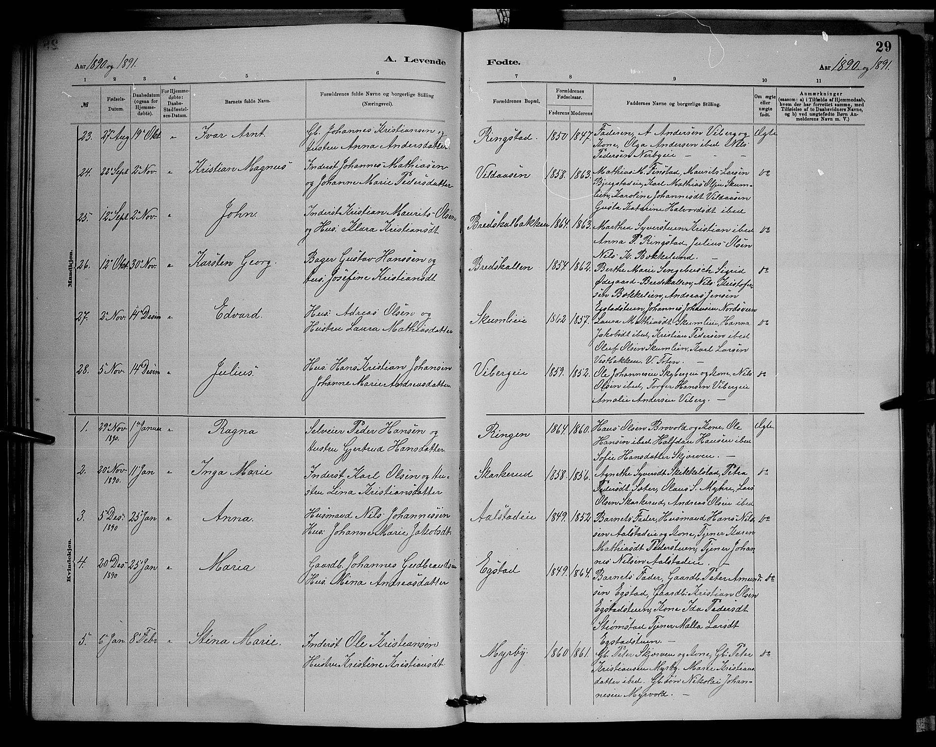 Vardal prestekontor, SAH/PREST-100/H/Ha/Hab/L0008: Parish register (copy) no. 8, 1881-1898, p. 29