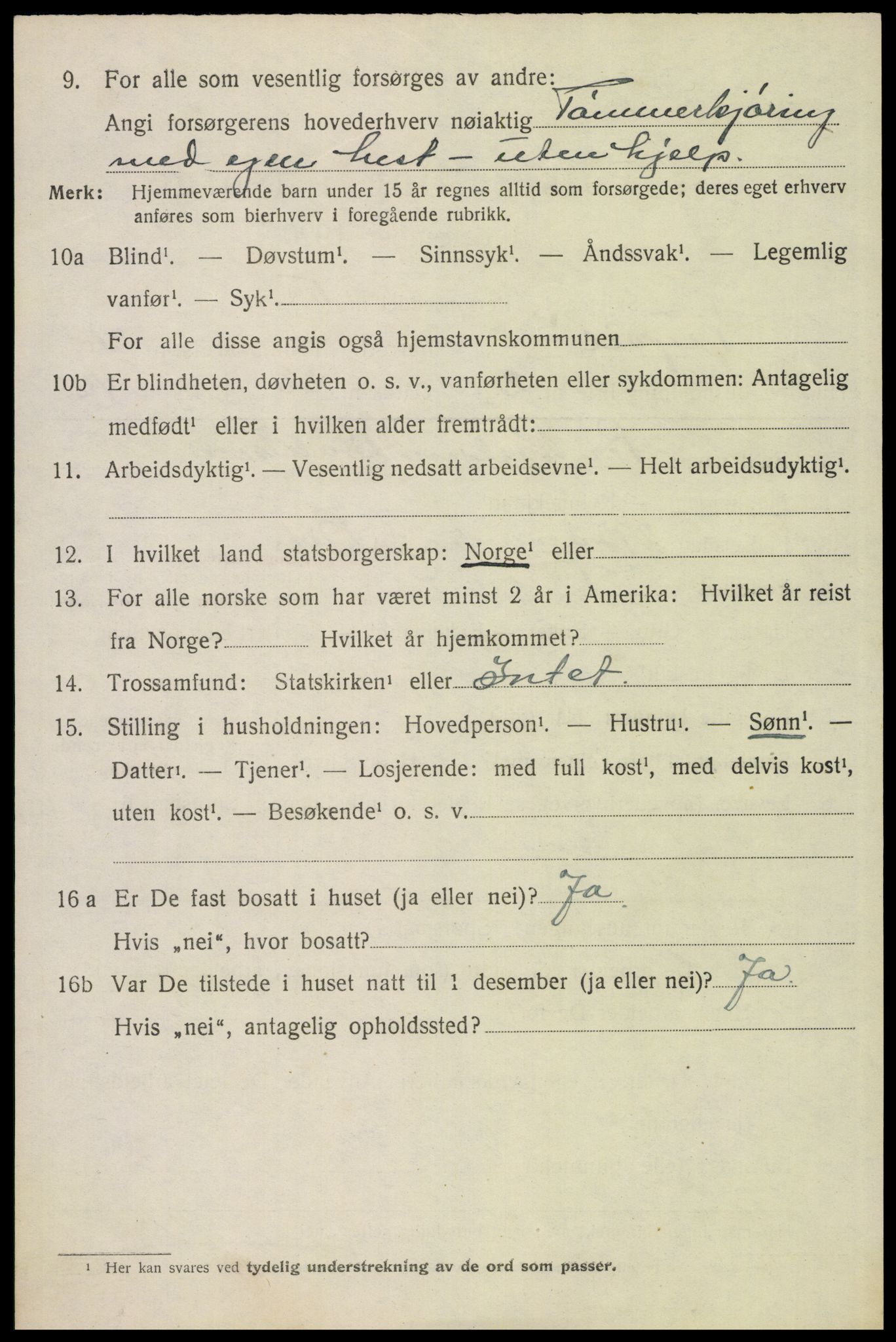 SAH, 1920 census for Trysil, 1920, p. 16126