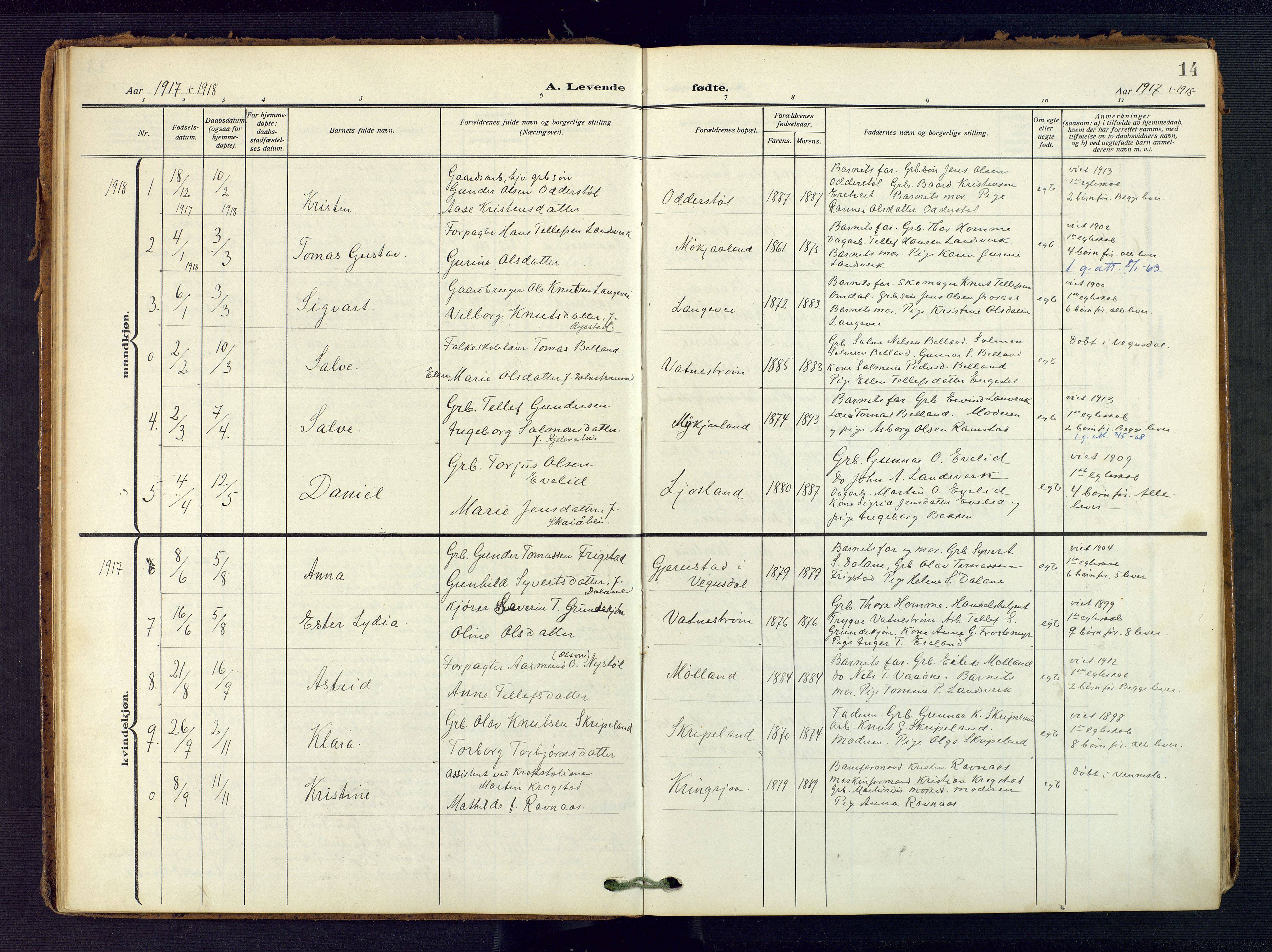 Evje sokneprestkontor, AV/SAK-1111-0008/F/Fa/Fac/L0004: Parish register (official) no. A 4, 1910-1932, p. 14