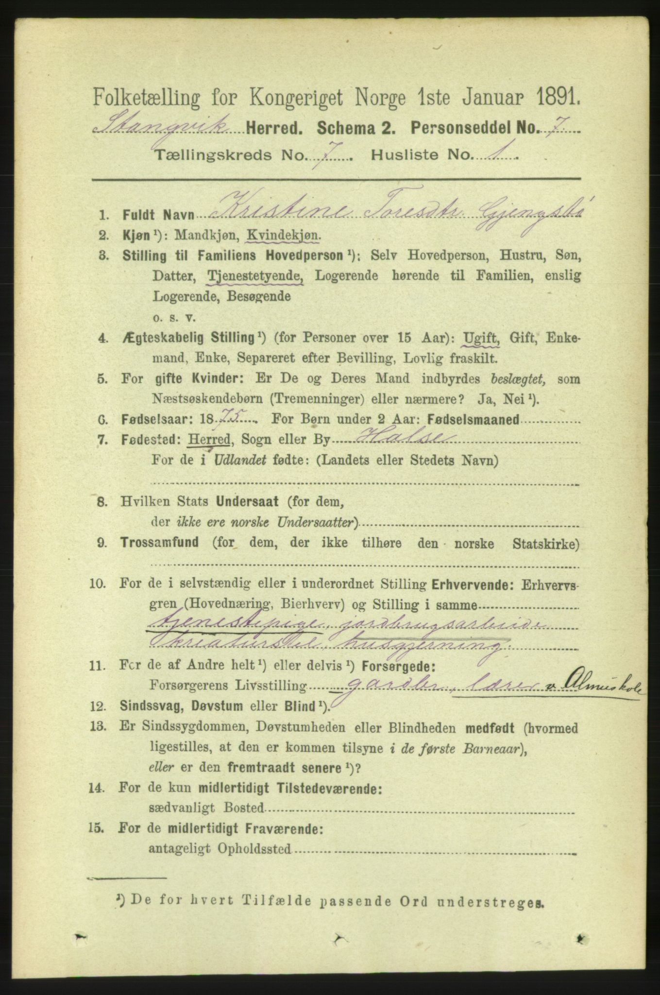 RA, 1891 census for 1564 Stangvik, 1891, p. 3019