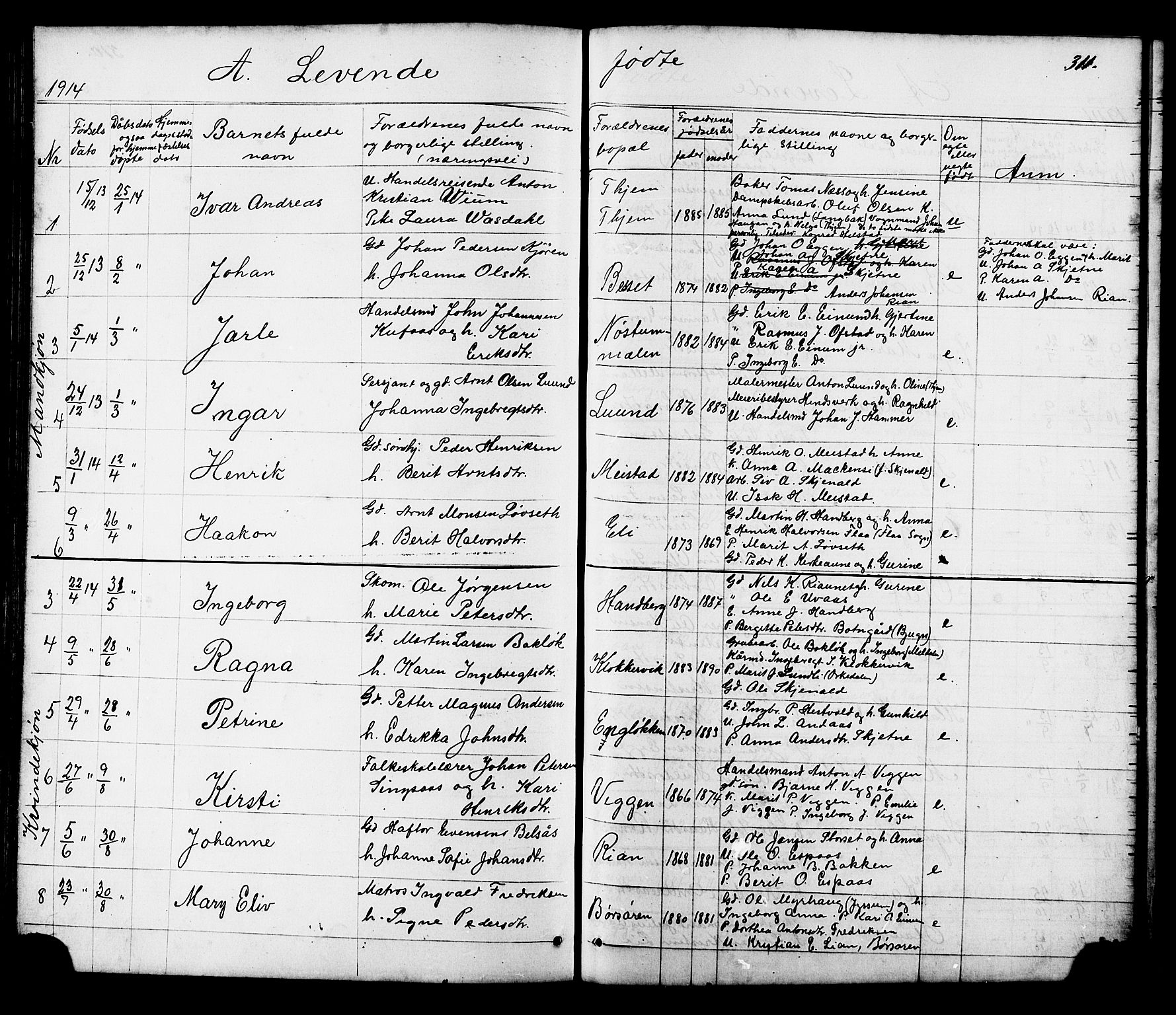 Ministerialprotokoller, klokkerbøker og fødselsregistre - Sør-Trøndelag, SAT/A-1456/665/L0777: Parish register (copy) no. 665C02, 1867-1915, p. 311