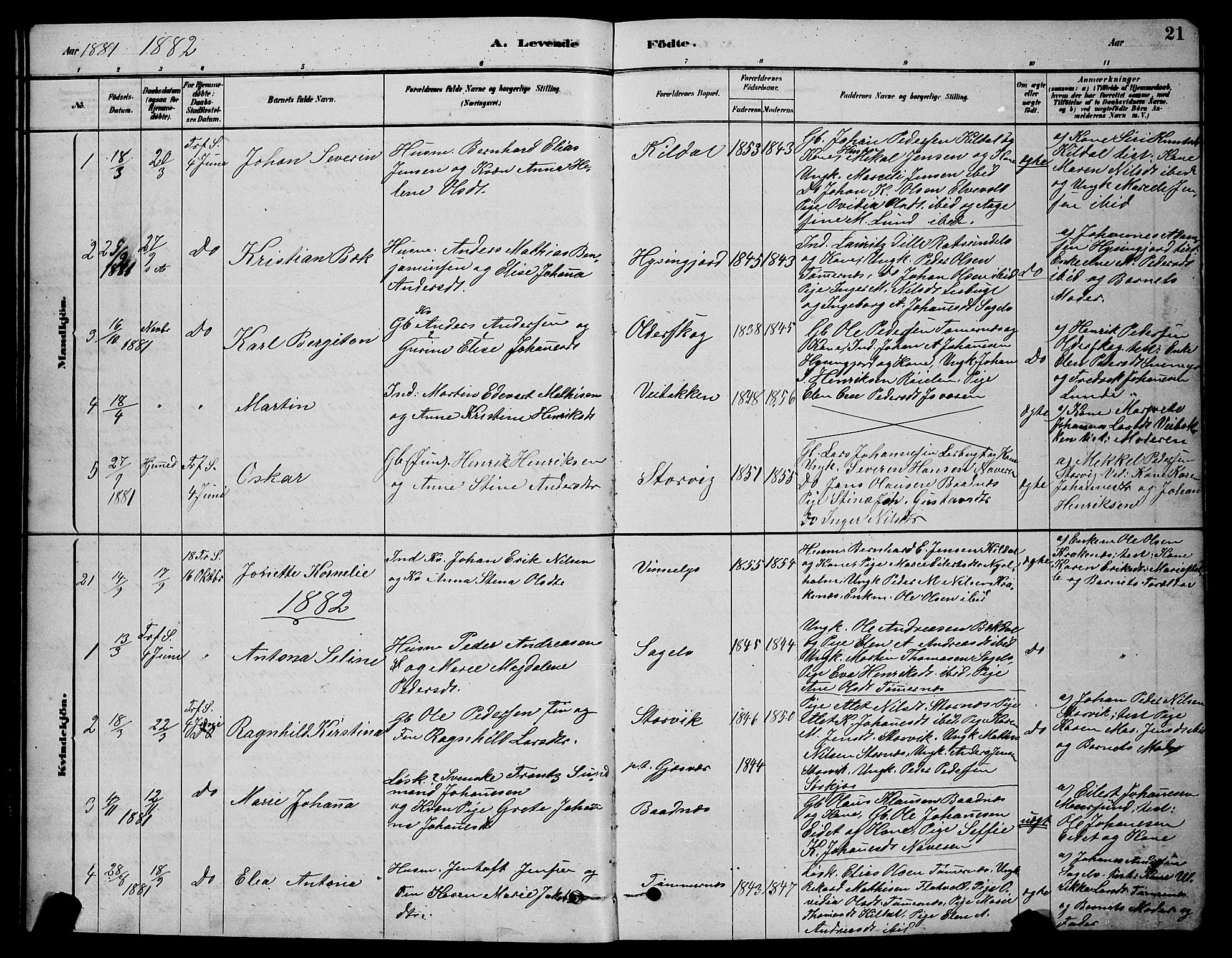 Skjervøy sokneprestkontor, AV/SATØ-S-1300/H/Ha/Hab/L0020klokker: Parish register (copy) no. 20, 1878-1892, p. 21