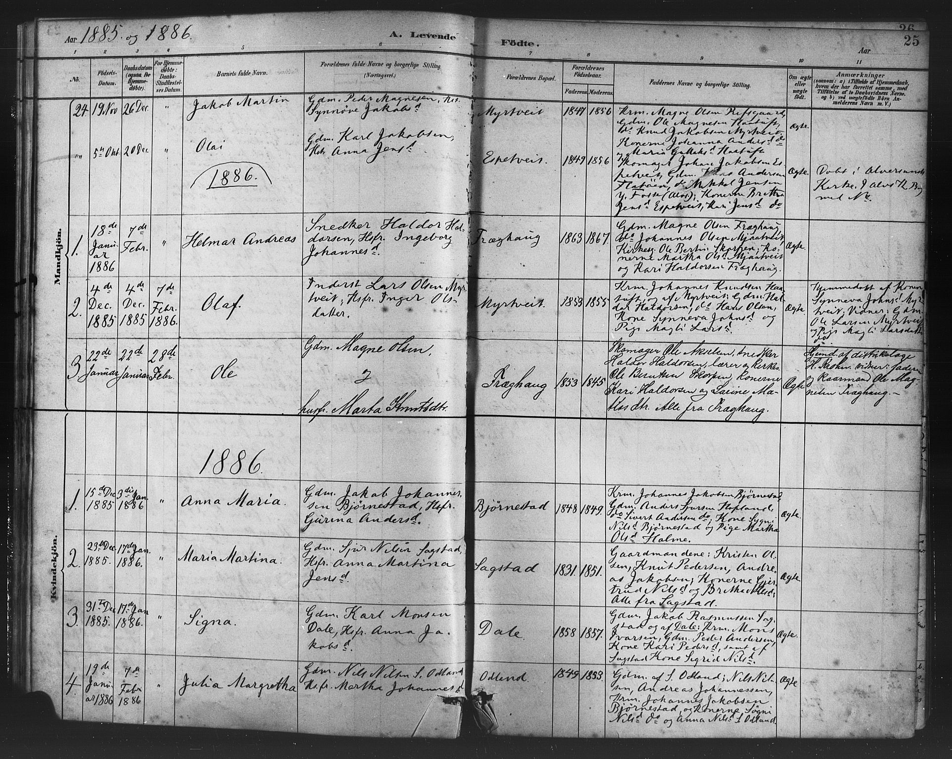 Alversund Sokneprestembete, SAB/A-73901/H/Ha/Haa/Haac/L0001: Parish register (official) no. C 1, 1882-1900, p. 25