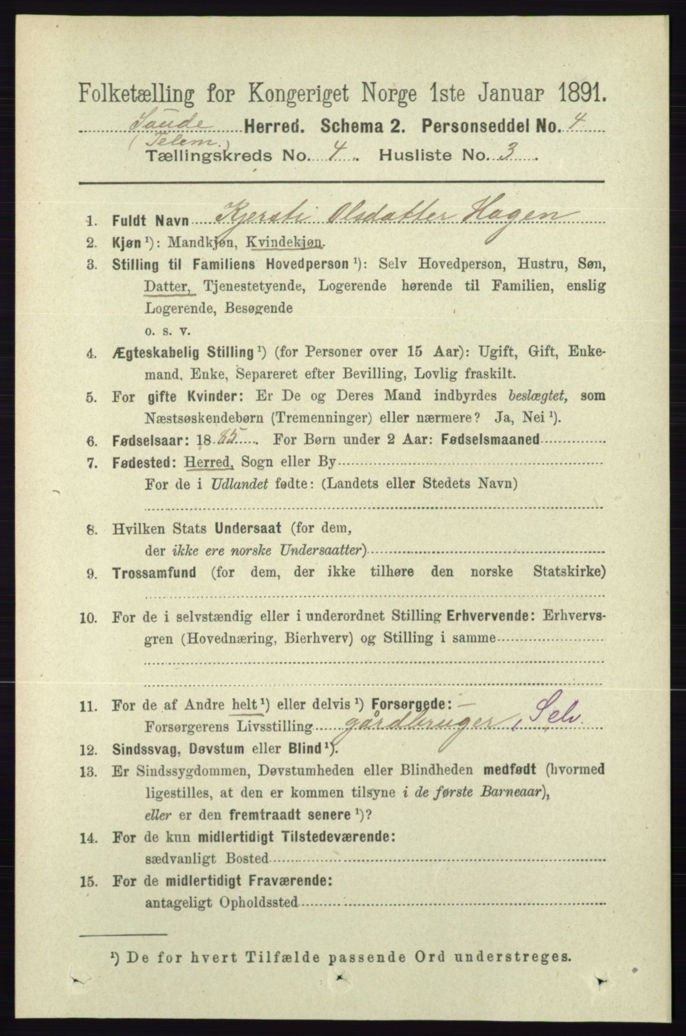 RA, 1891 census for 0822 Sauherad, 1891, p. 1109