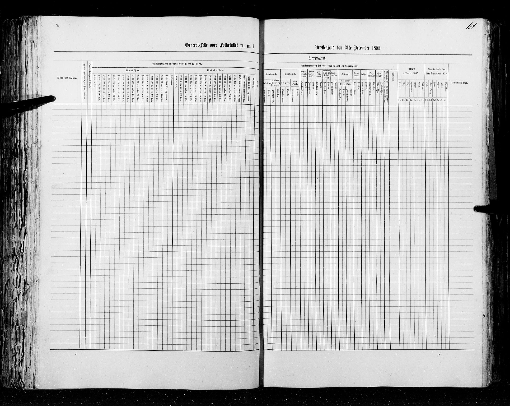 RA, Census 1855, vol. 2: Kristians amt, Buskerud amt og Jarlsberg og Larvik amt, 1855, p. 164