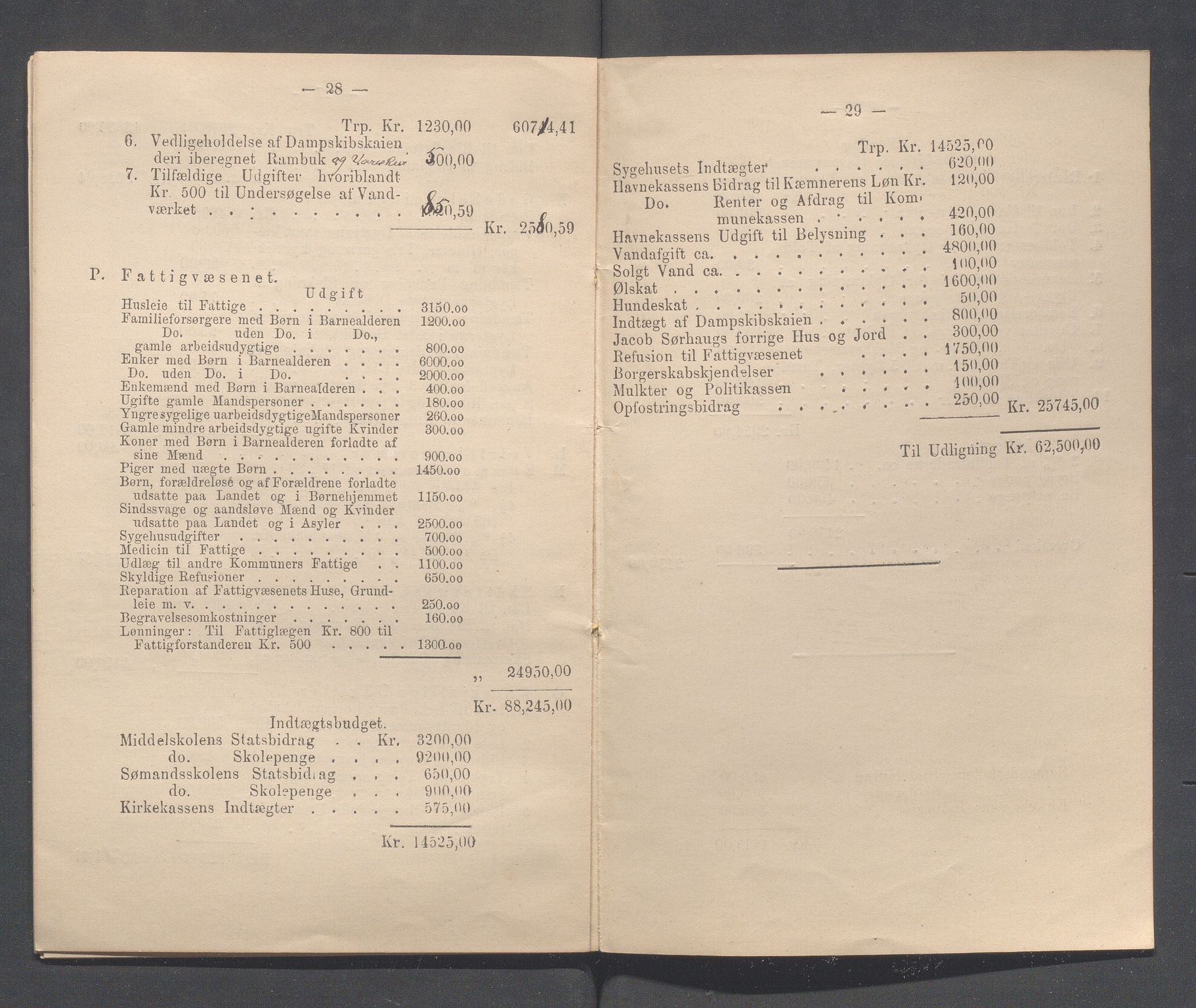 Haugesund kommune - Formannskapet og Bystyret, IKAR/A-740/A/Abb/L0001: Bystyreforhandlinger, 1889-1907, p. 32