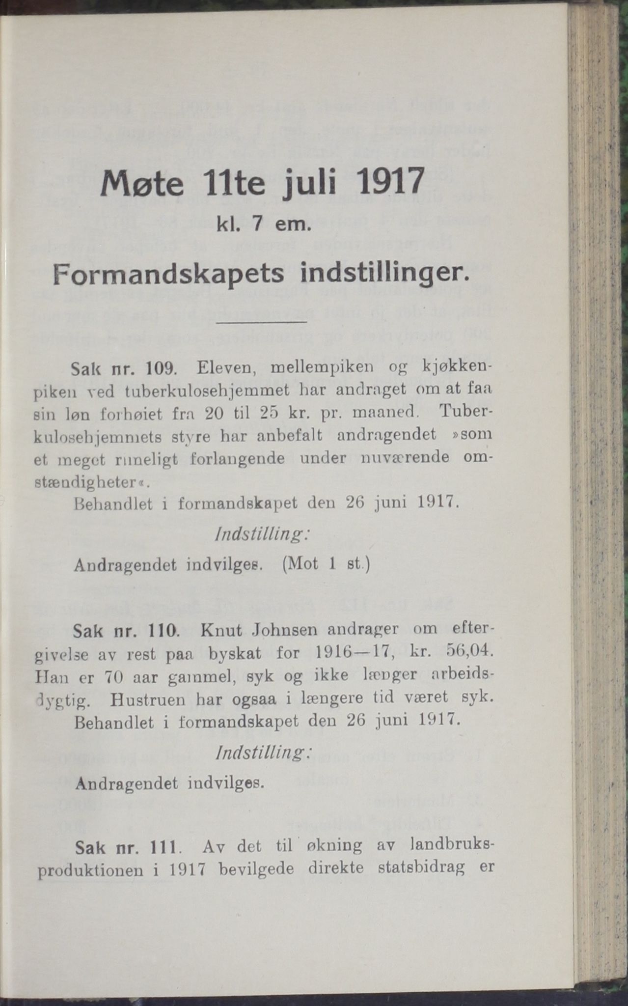 Narvik kommune. Formannskap , AIN/K-18050.150/A/Ab/L0007: Møtebok, 1917