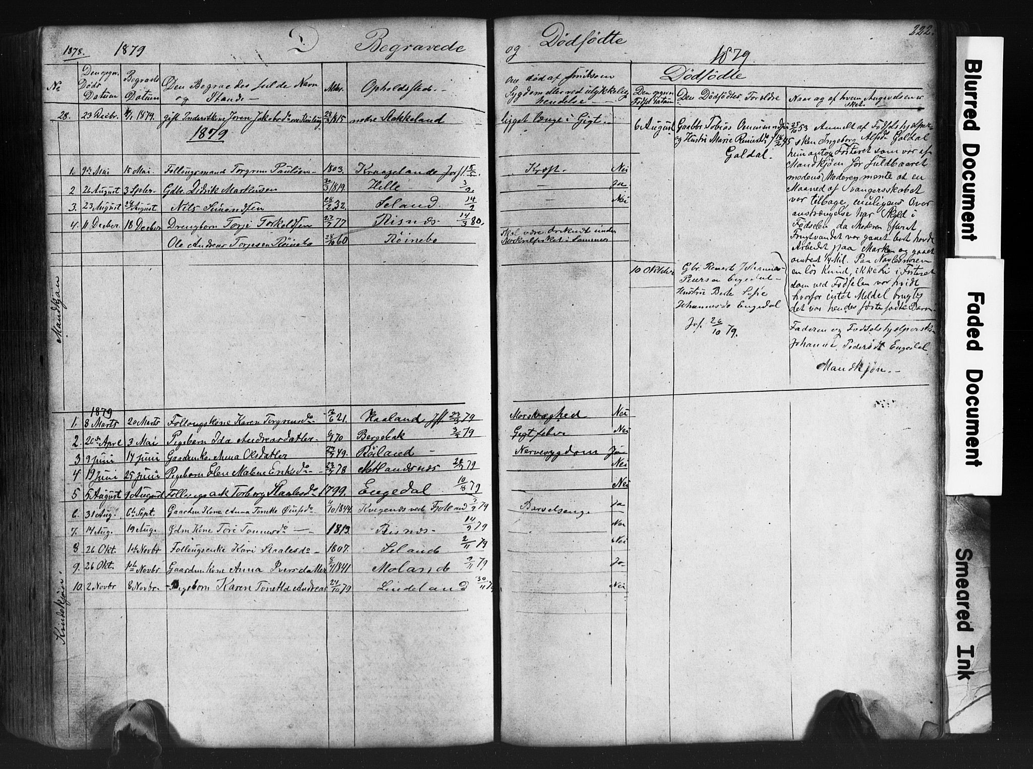 Fjotland sokneprestkontor, SAK/1111-0010/F/Fb/L0003: Parish register (copy) no. B 3, 1872-1924, p. 222