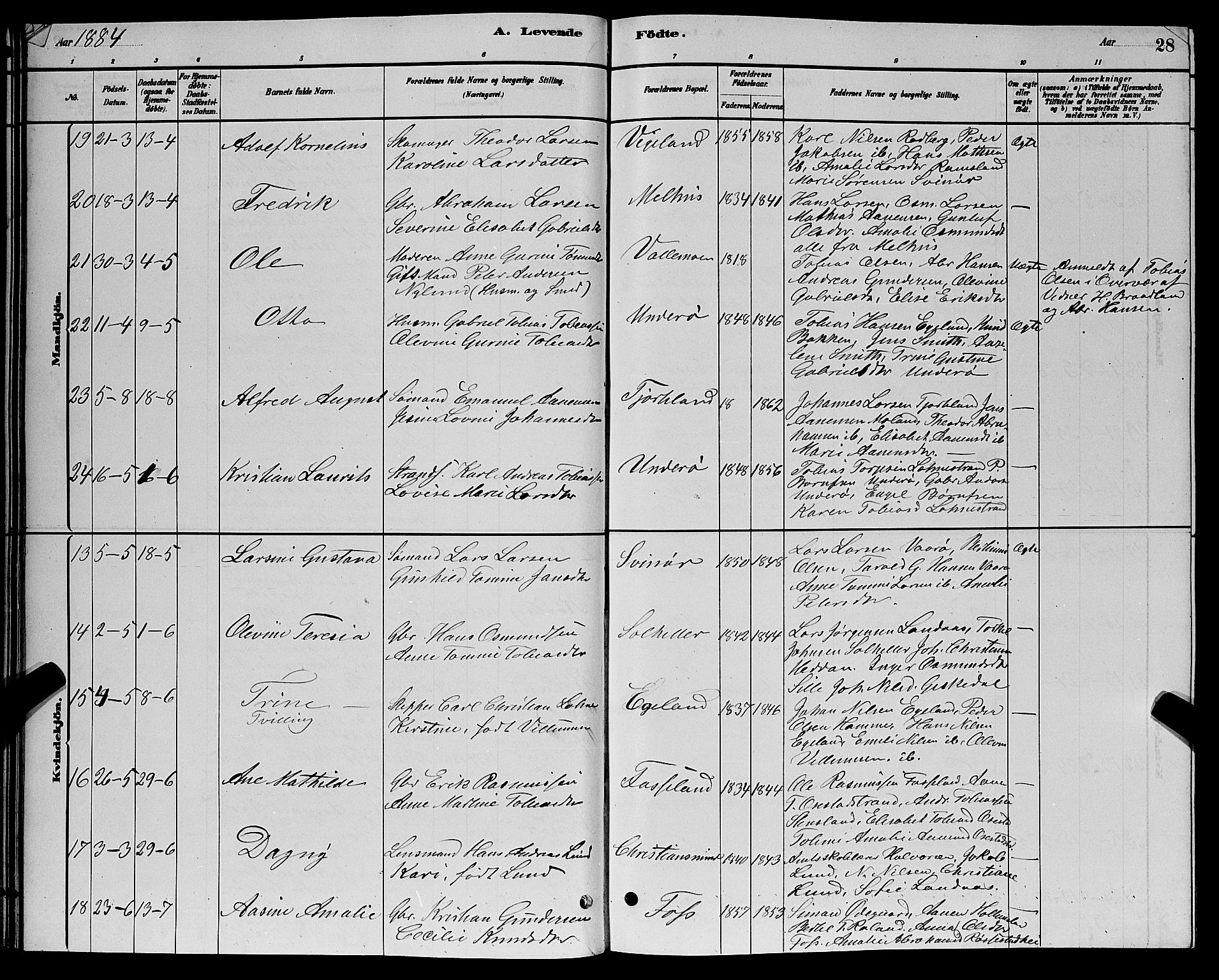 Sør-Audnedal sokneprestkontor, AV/SAK-1111-0039/F/Fb/Fbb/L0005: Parish register (copy) no. B 5, 1880-1892, p. 28