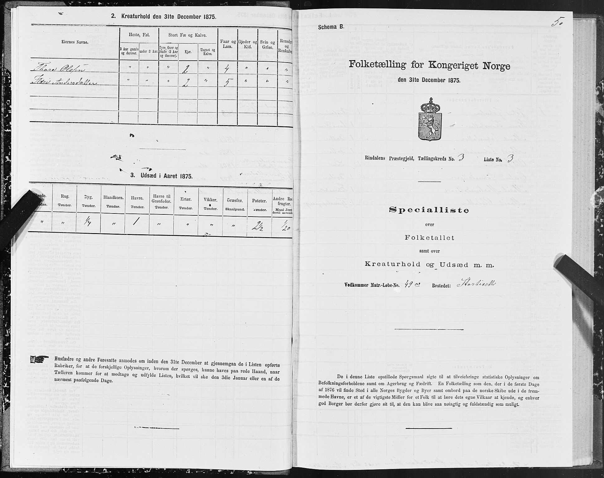 SAT, 1875 census for 1567P Rindal, 1875, p. 2005