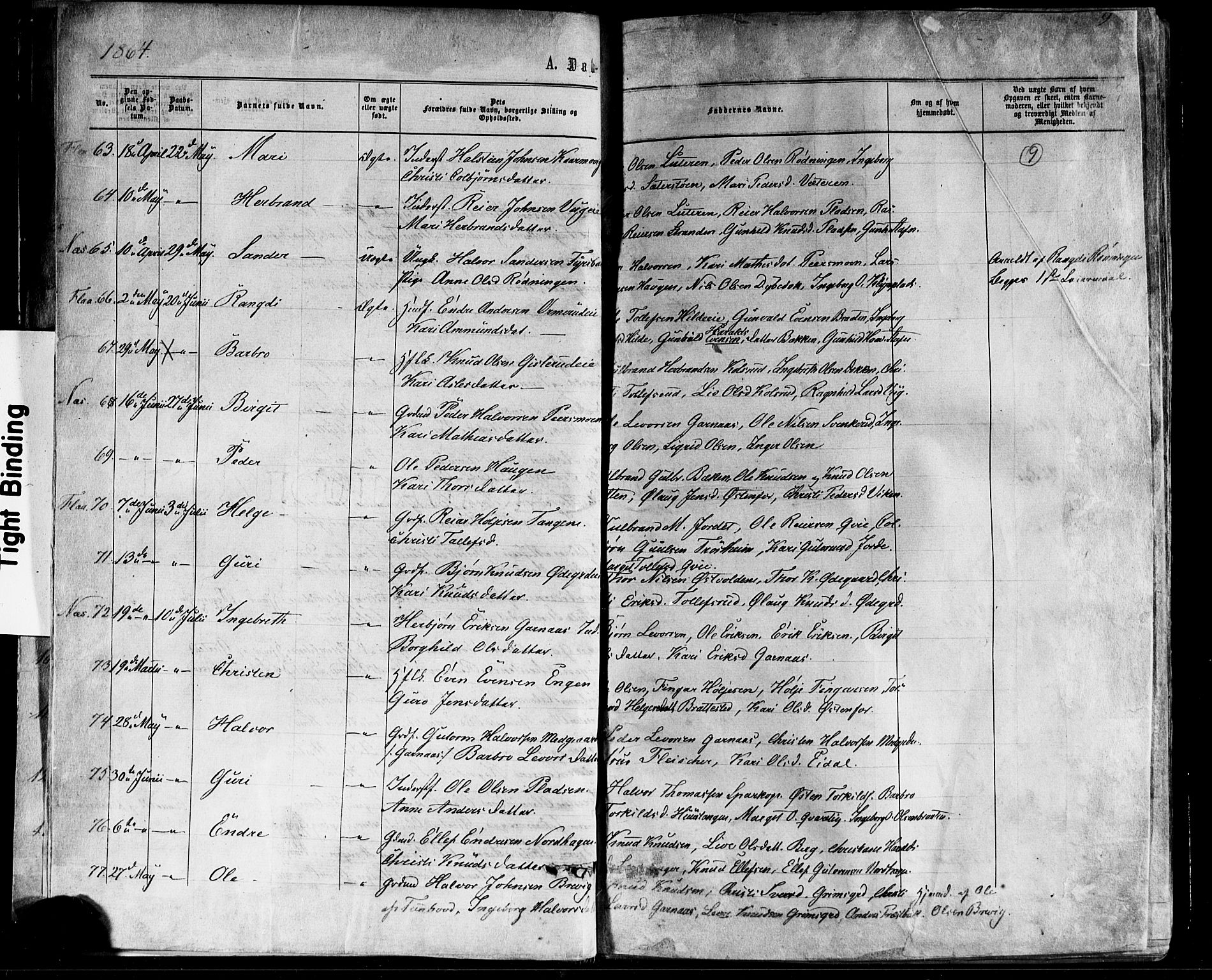 Nes kirkebøker, AV/SAKO-A-236/F/Fa/L0010: Parish register (official) no. 10, 1864-1880, p. 9
