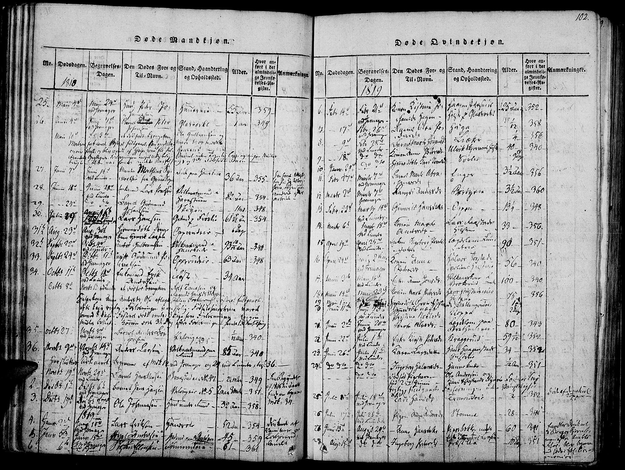 Jevnaker prestekontor, SAH/PREST-116/H/Ha/Haa/L0005: Parish register (official) no. 5, 1815-1837, p. 102