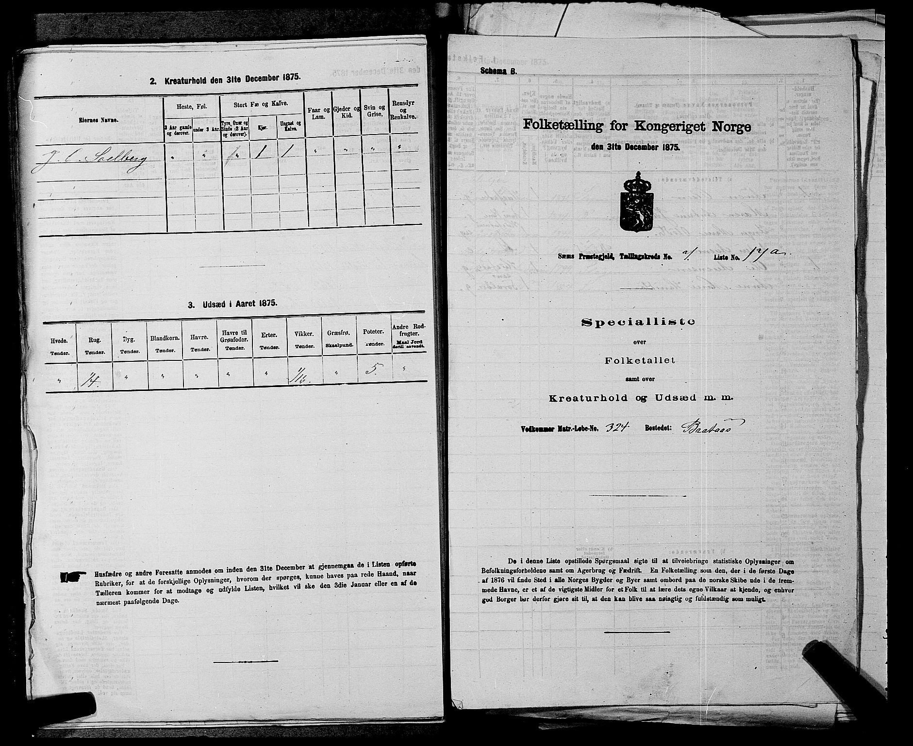 SAKO, 1875 census for 0721P Sem, 1875, p. 1344