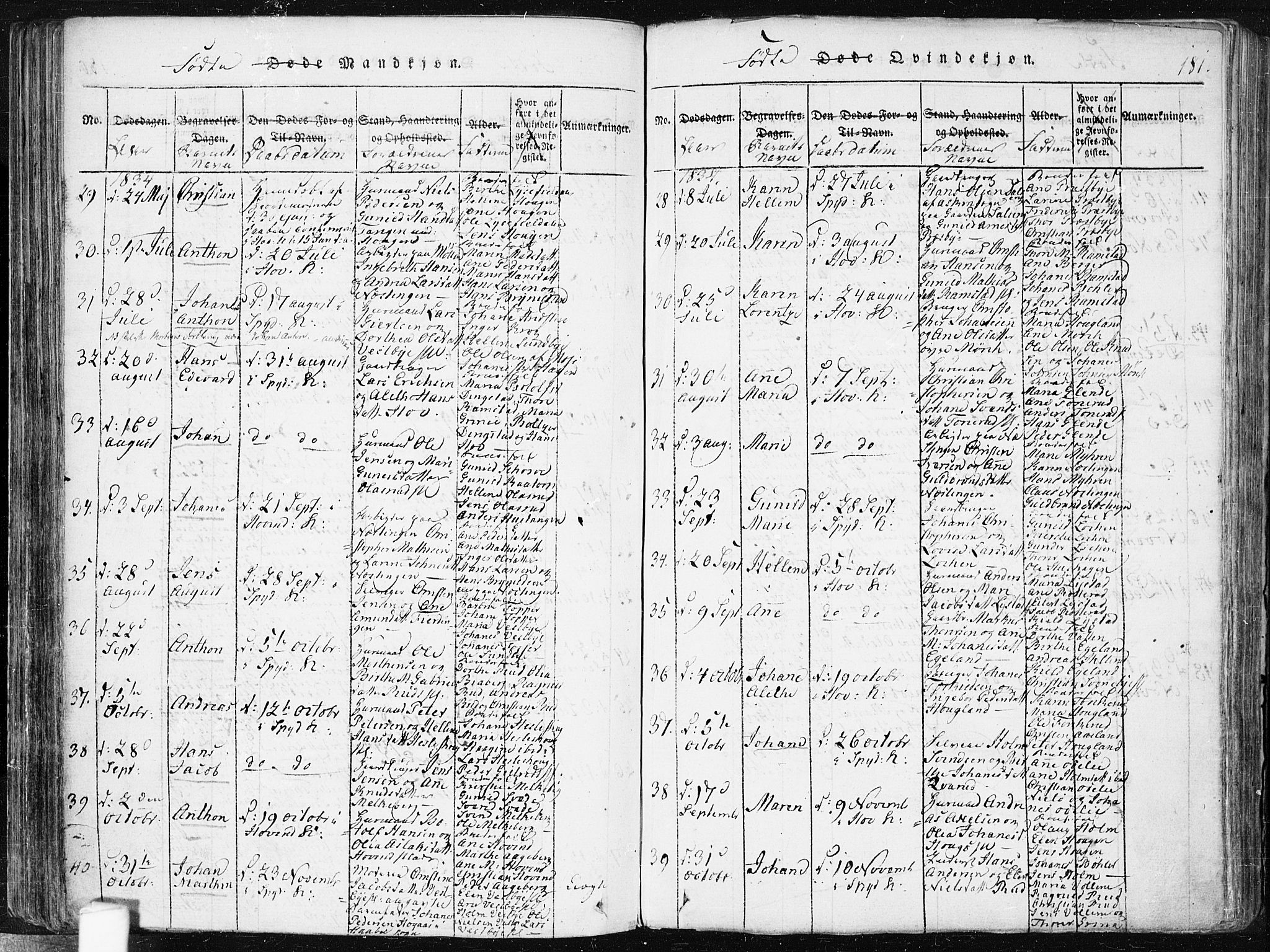 Spydeberg prestekontor Kirkebøker, AV/SAO-A-10924/F/Fa/L0004: Parish register (official) no. I 4, 1814-1841, p. 181