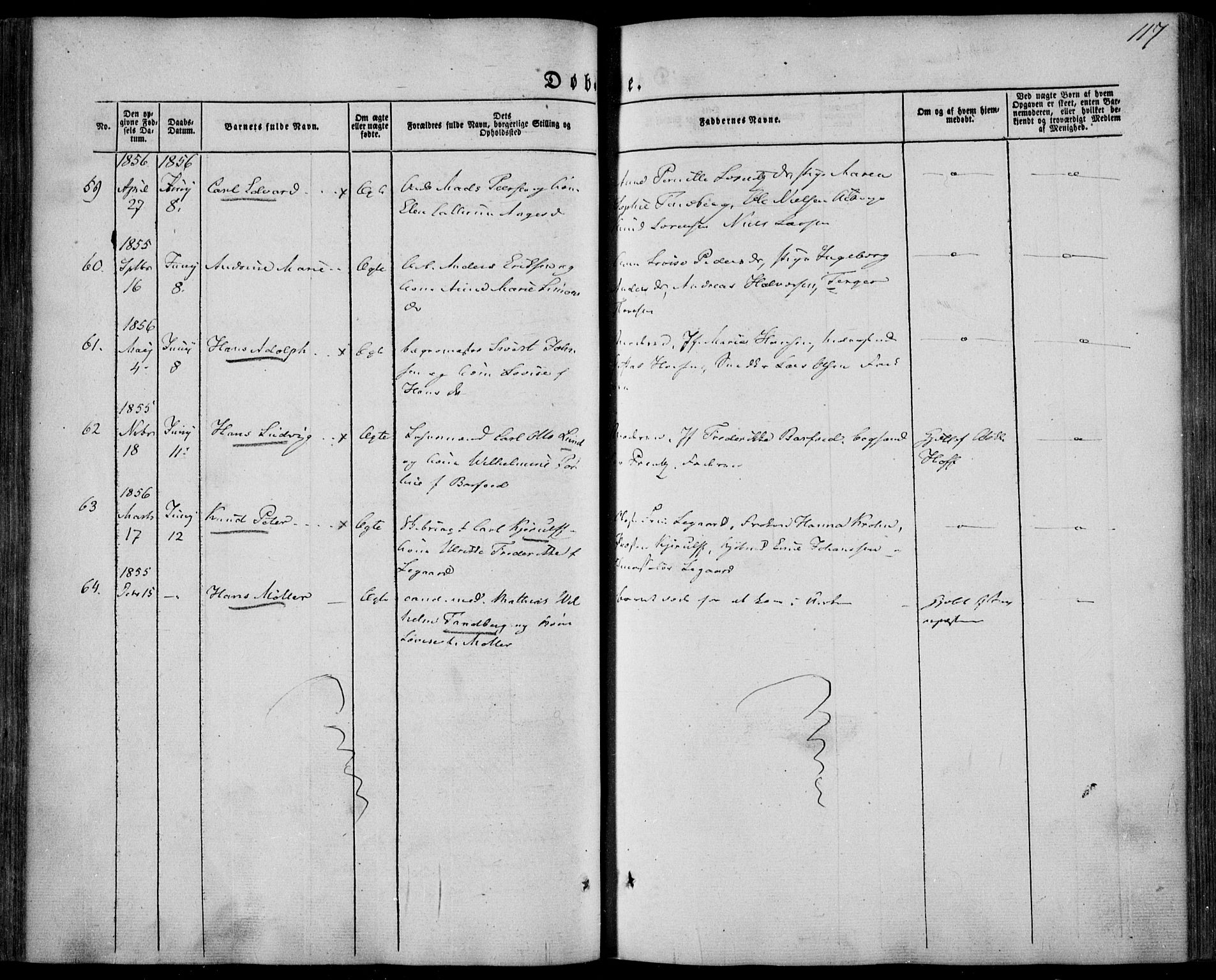 Larvik kirkebøker, SAKO/A-352/F/Fa/L0003: Parish register (official) no. I 3, 1848-1856, p. 117