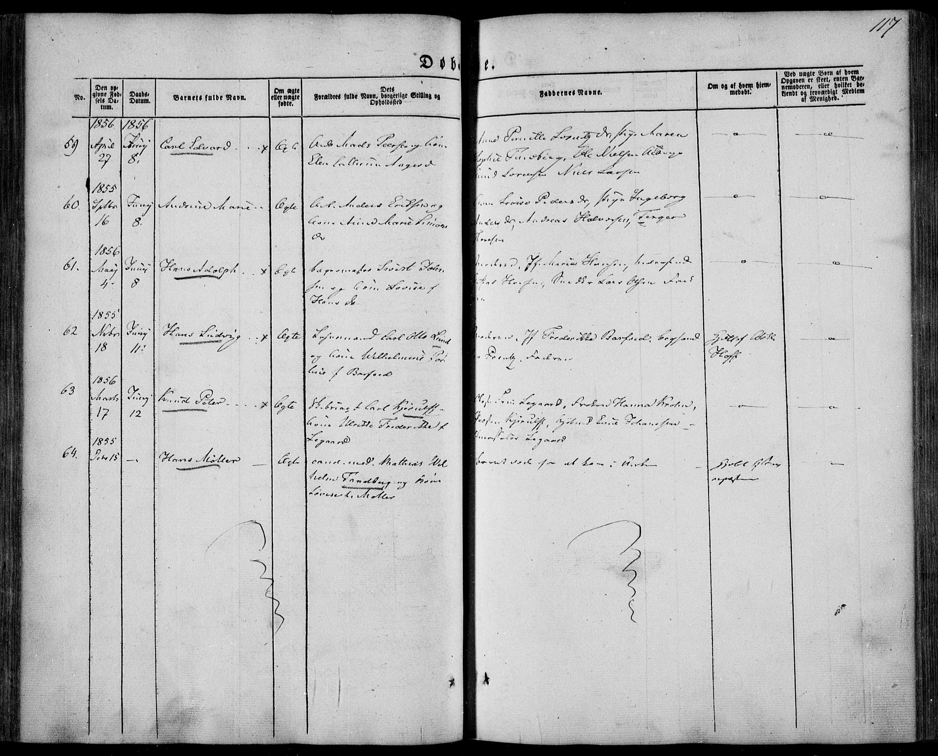 Larvik kirkebøker, AV/SAKO-A-352/F/Fa/L0003: Parish register (official) no. I 3, 1848-1856, p. 117