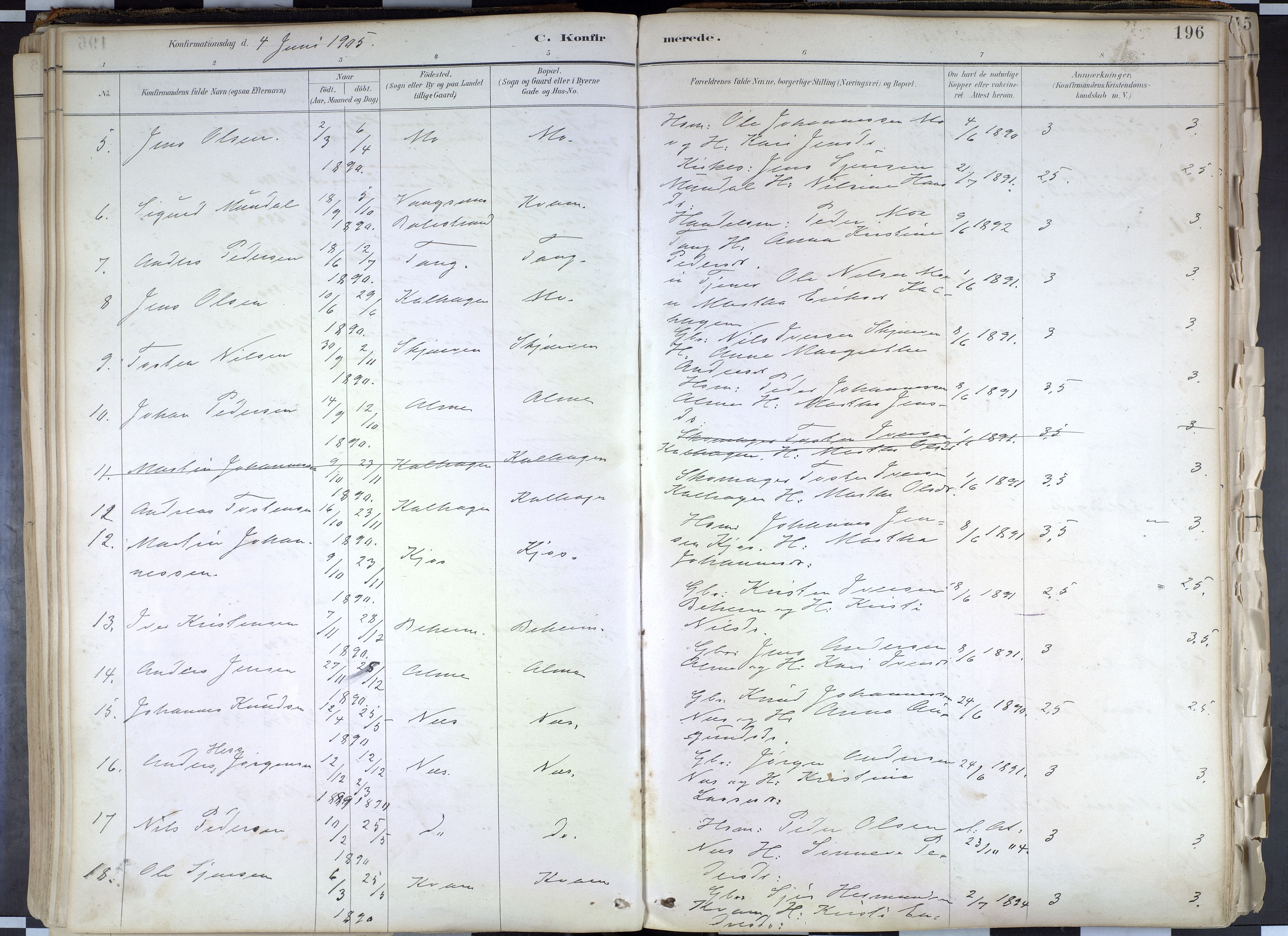 Hafslo sokneprestembete, AV/SAB-A-80301/H/Haa/Haab/L0001: Parish register (official) no. B 1, 1886-1945, p. 196