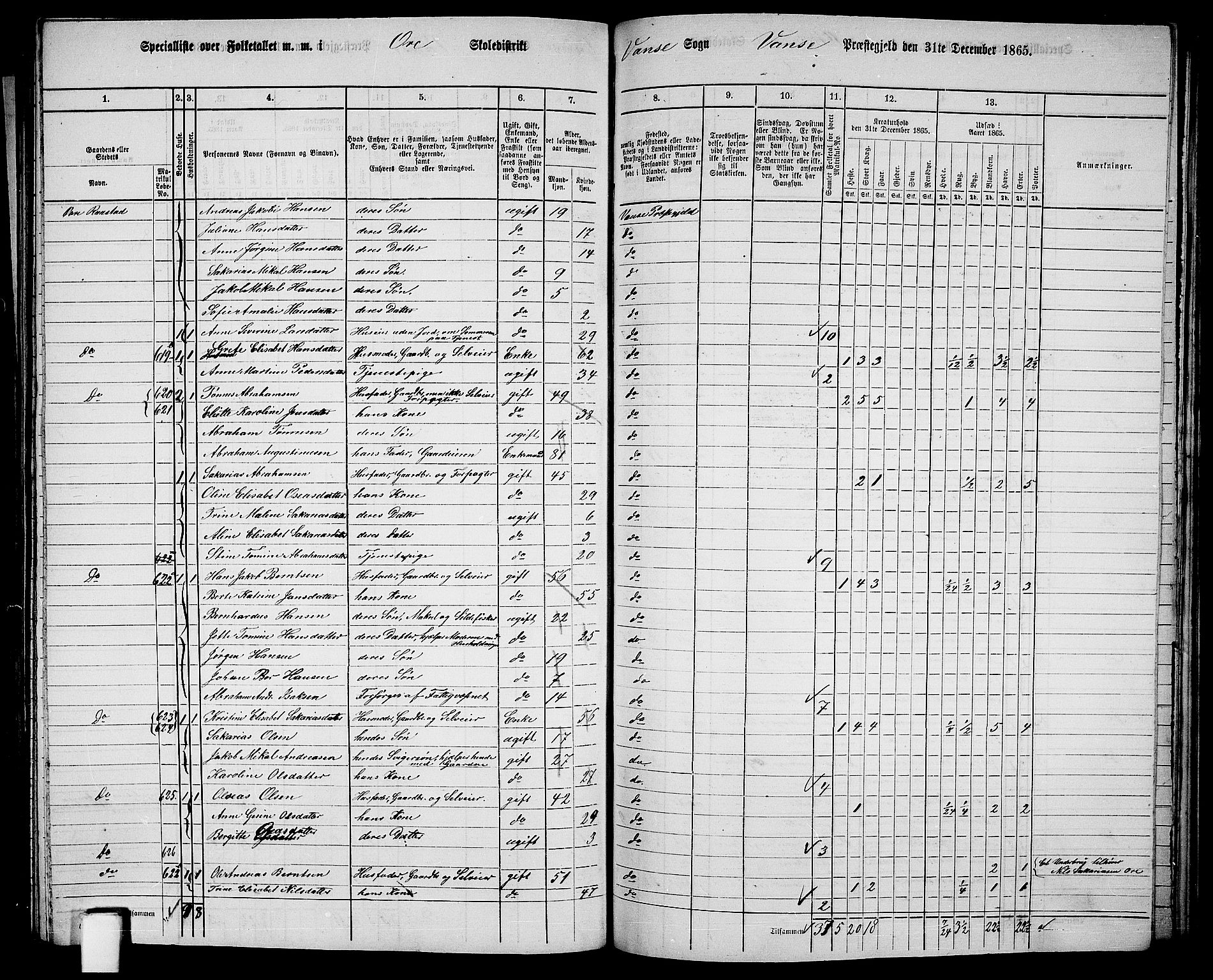 RA, 1865 census for Vanse/Vanse og Farsund, 1865, p. 222
