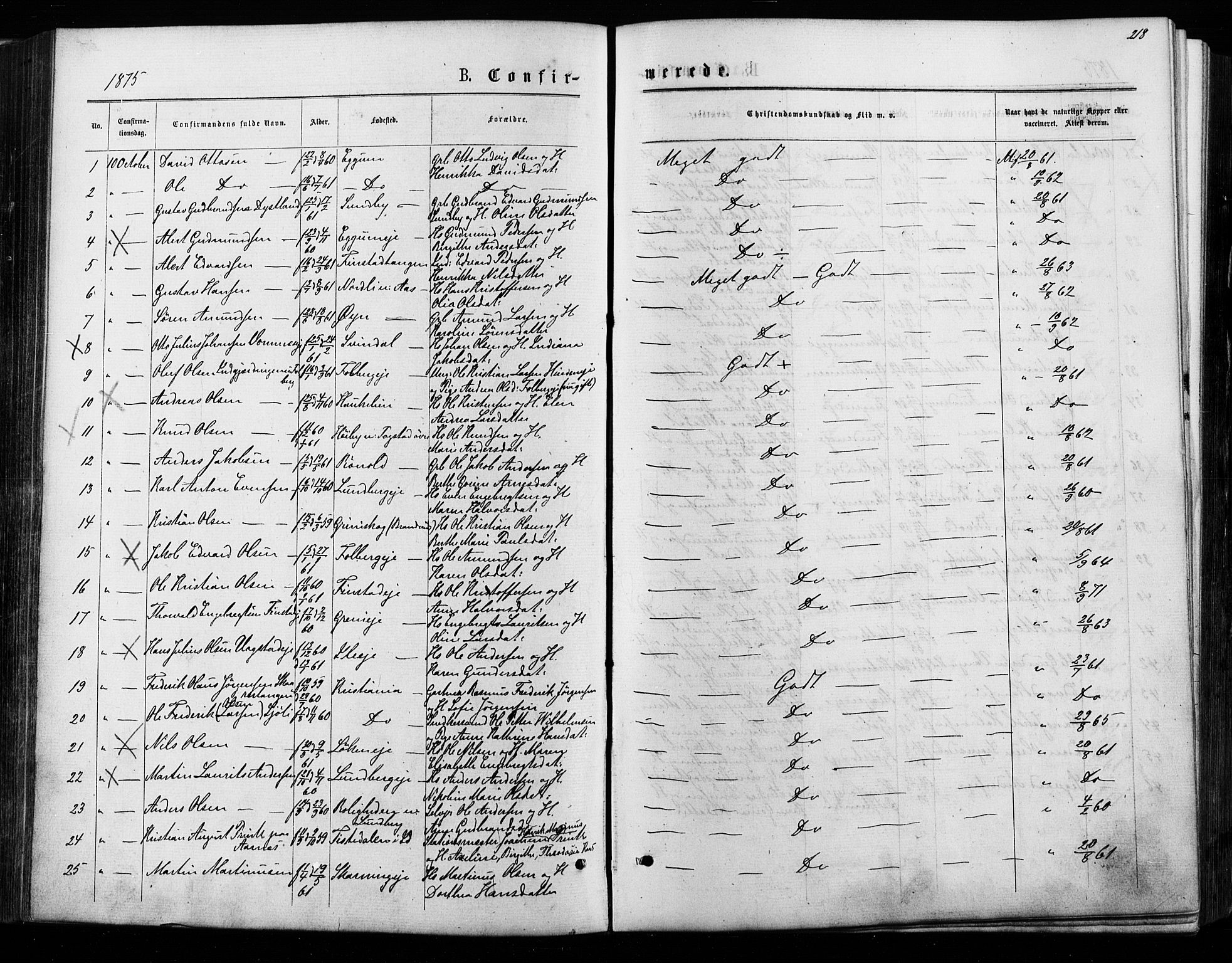 Nes prestekontor Kirkebøker, SAO/A-10410/F/Fa/L0009: Parish register (official) no. I 9, 1875-1882, p. 218