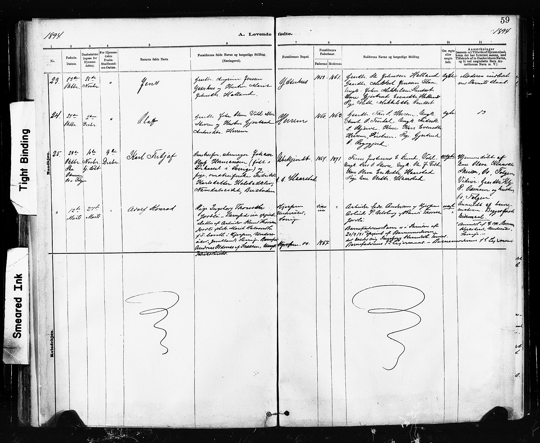 Ministerialprotokoller, klokkerbøker og fødselsregistre - Sør-Trøndelag, SAT/A-1456/674/L0871: Parish register (official) no. 674A03, 1880-1896, p. 59