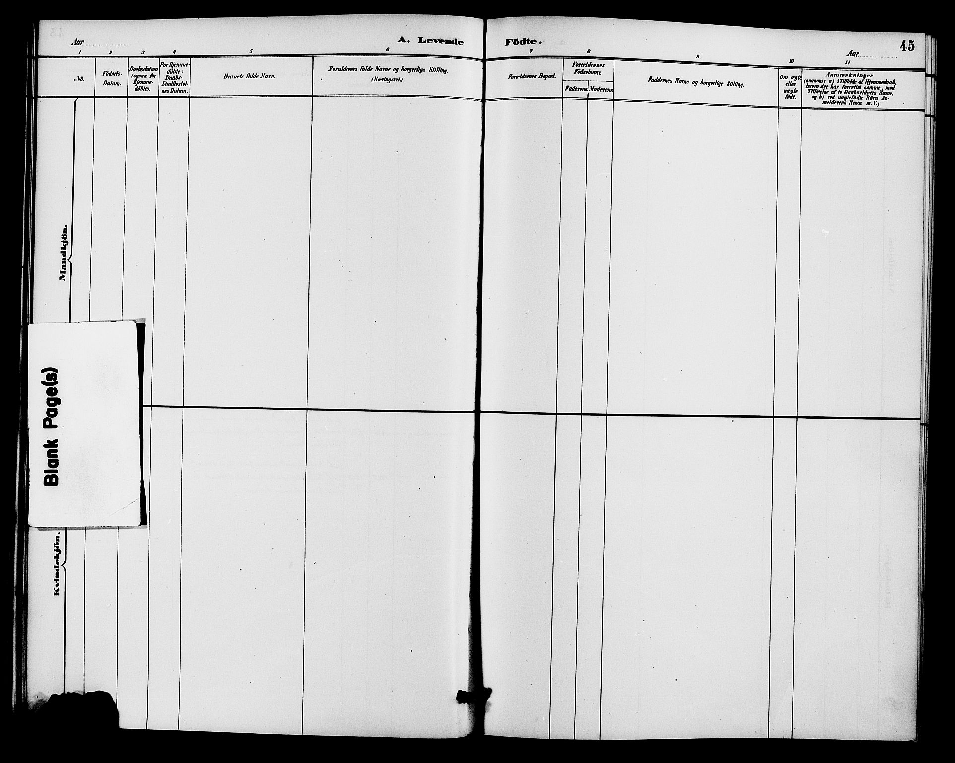 Gjerstad sokneprestkontor, AV/SAK-1111-0014/F/Fa/Faa/L0009: Parish register (official) no. A 9, 1885-1890, p. 45