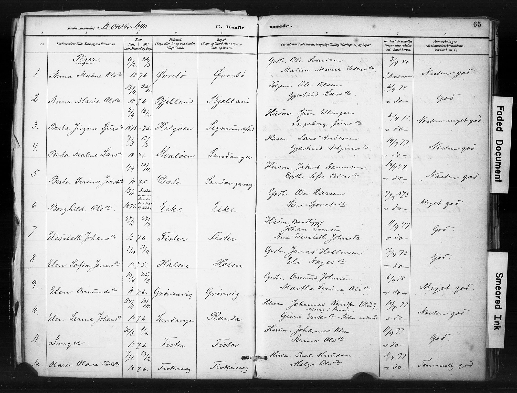 Hjelmeland sokneprestkontor, SAST/A-101843/01/IV/L0015: Parish register (official) no. A 15, 1887-1910, p. 65